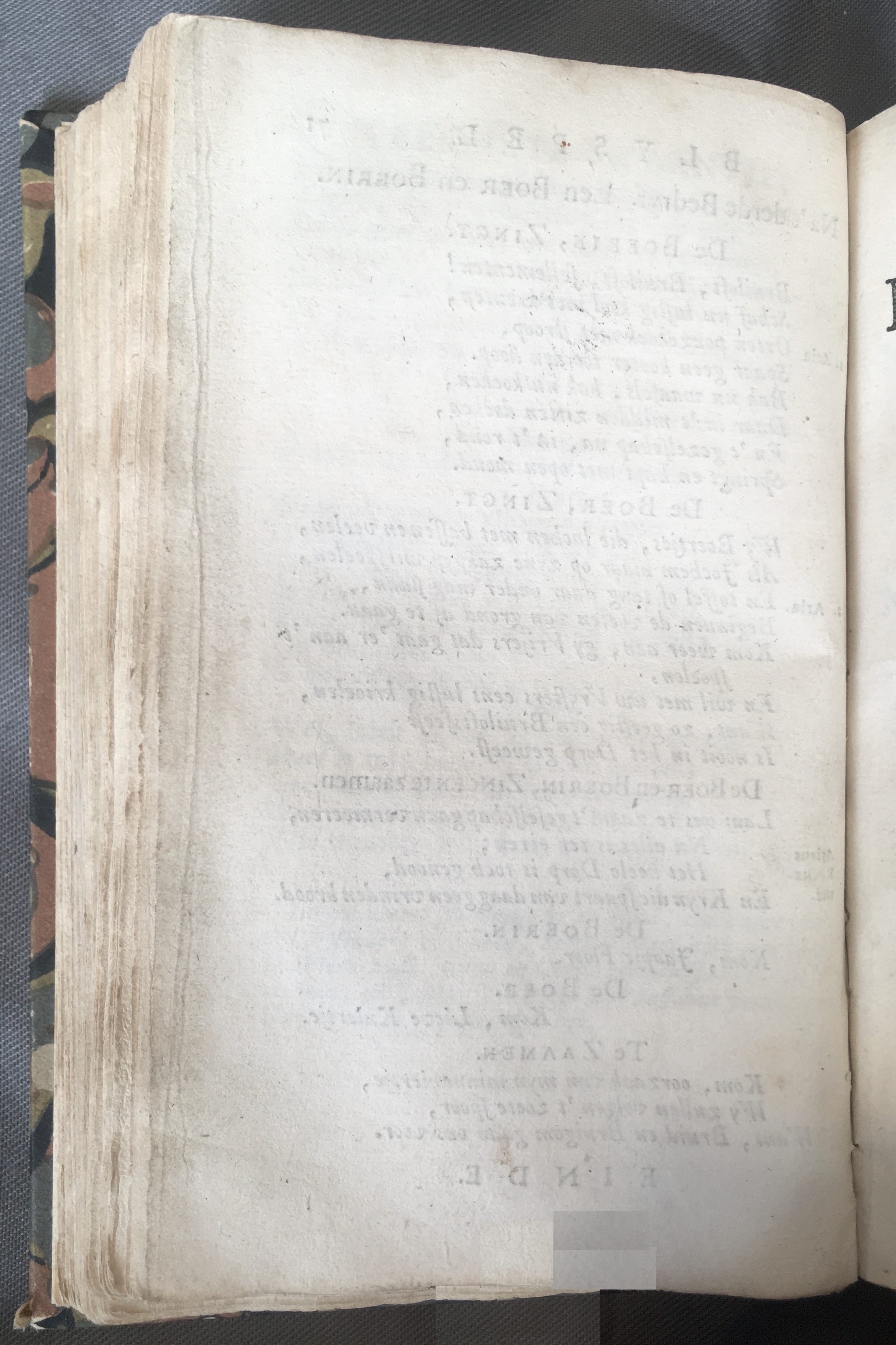 AlewynSwaantje1715a72