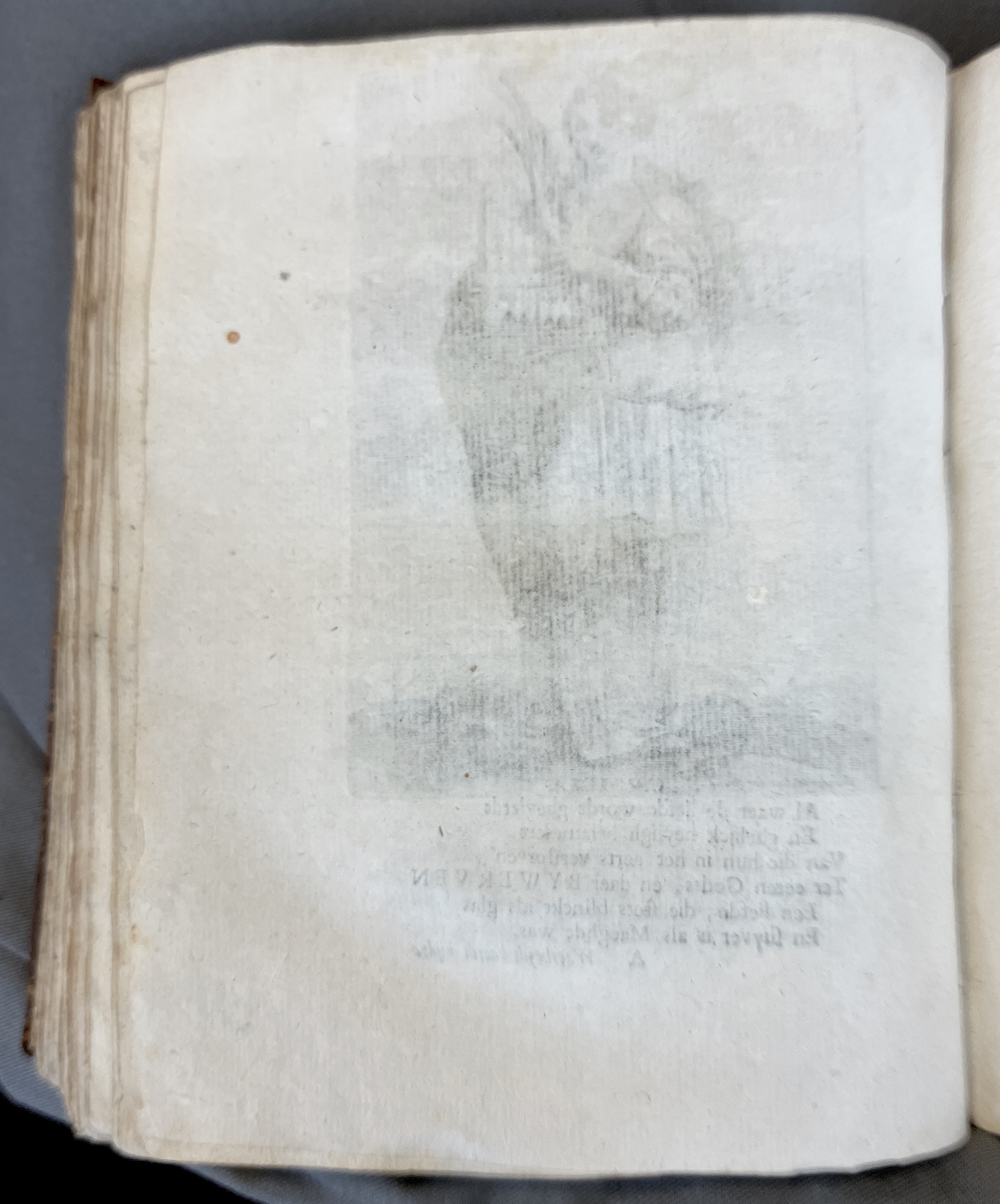 DeBieCecilia1671p002