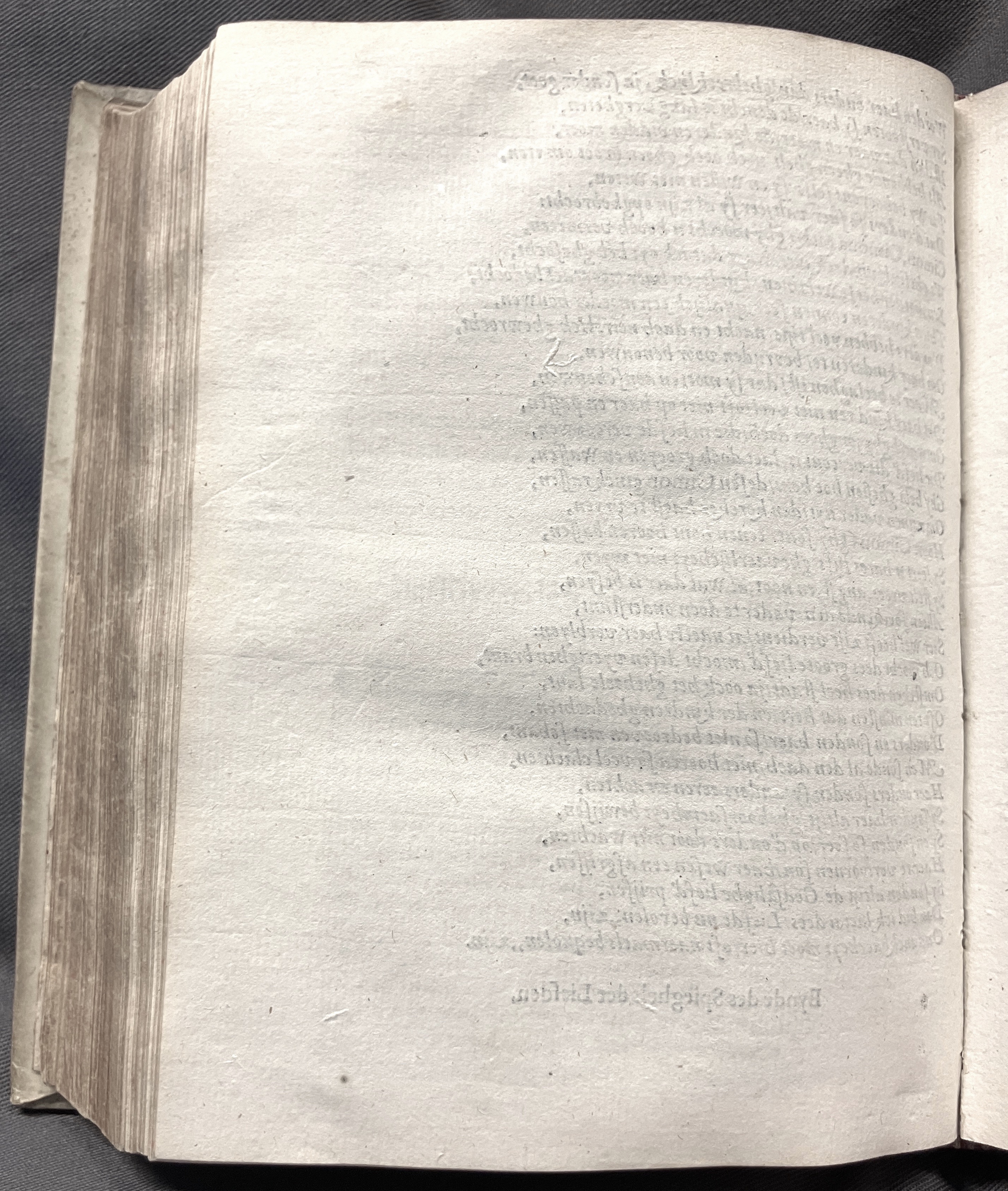 DuymSpiegelboeckLiefden1600p40