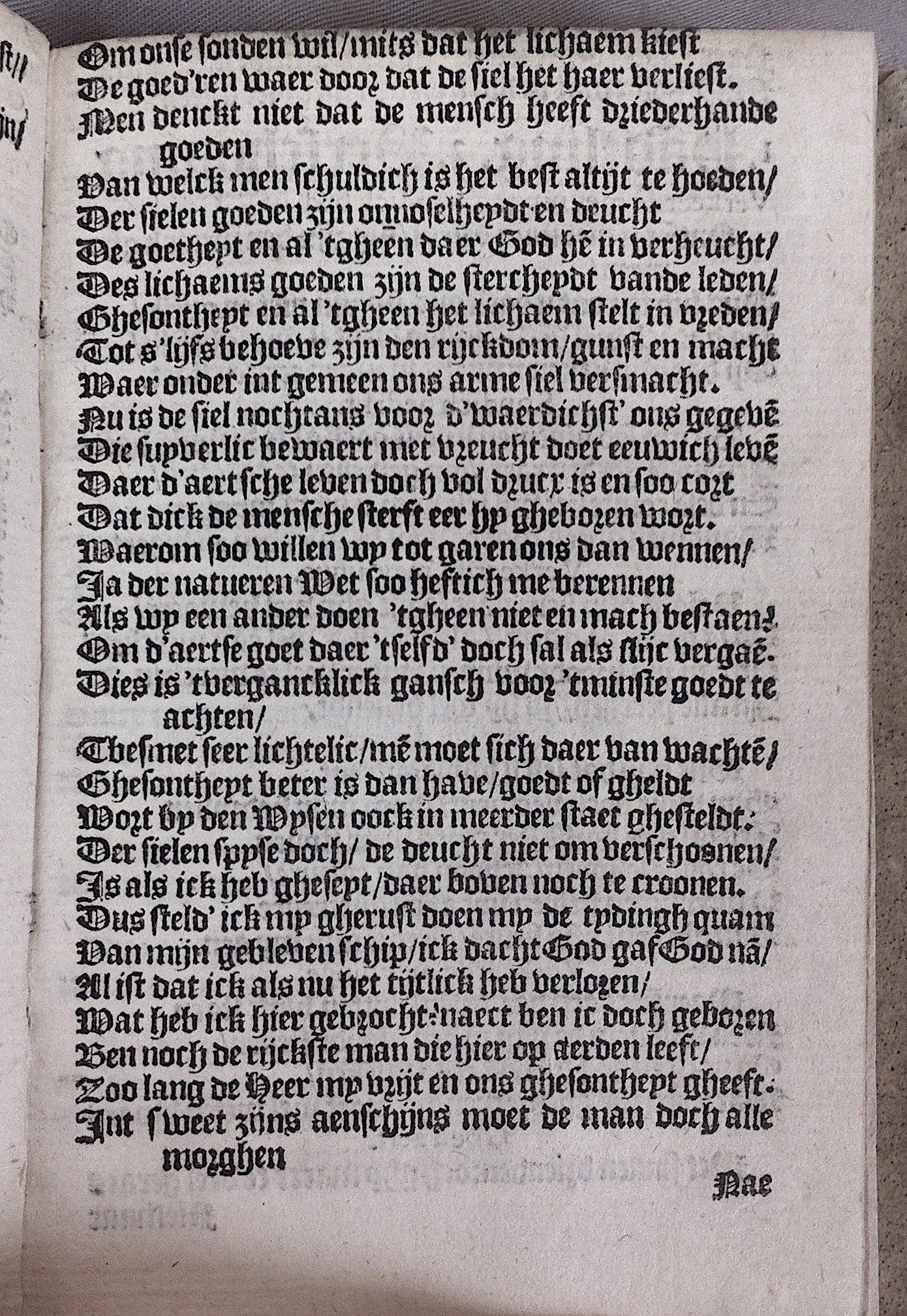 HeynsPestspieghel1602p11.jpg