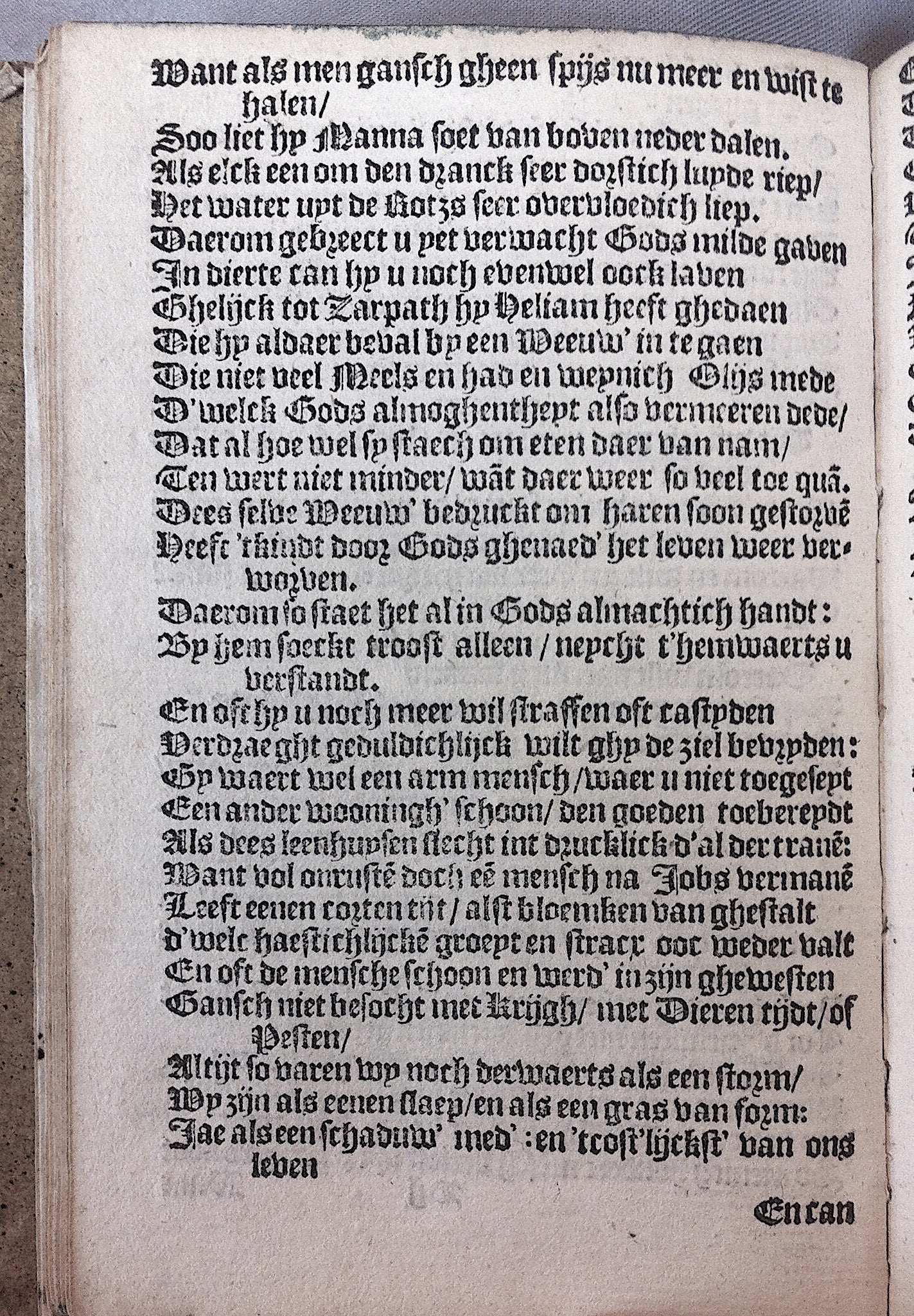 HeynsPestspieghel1602p20.jpg