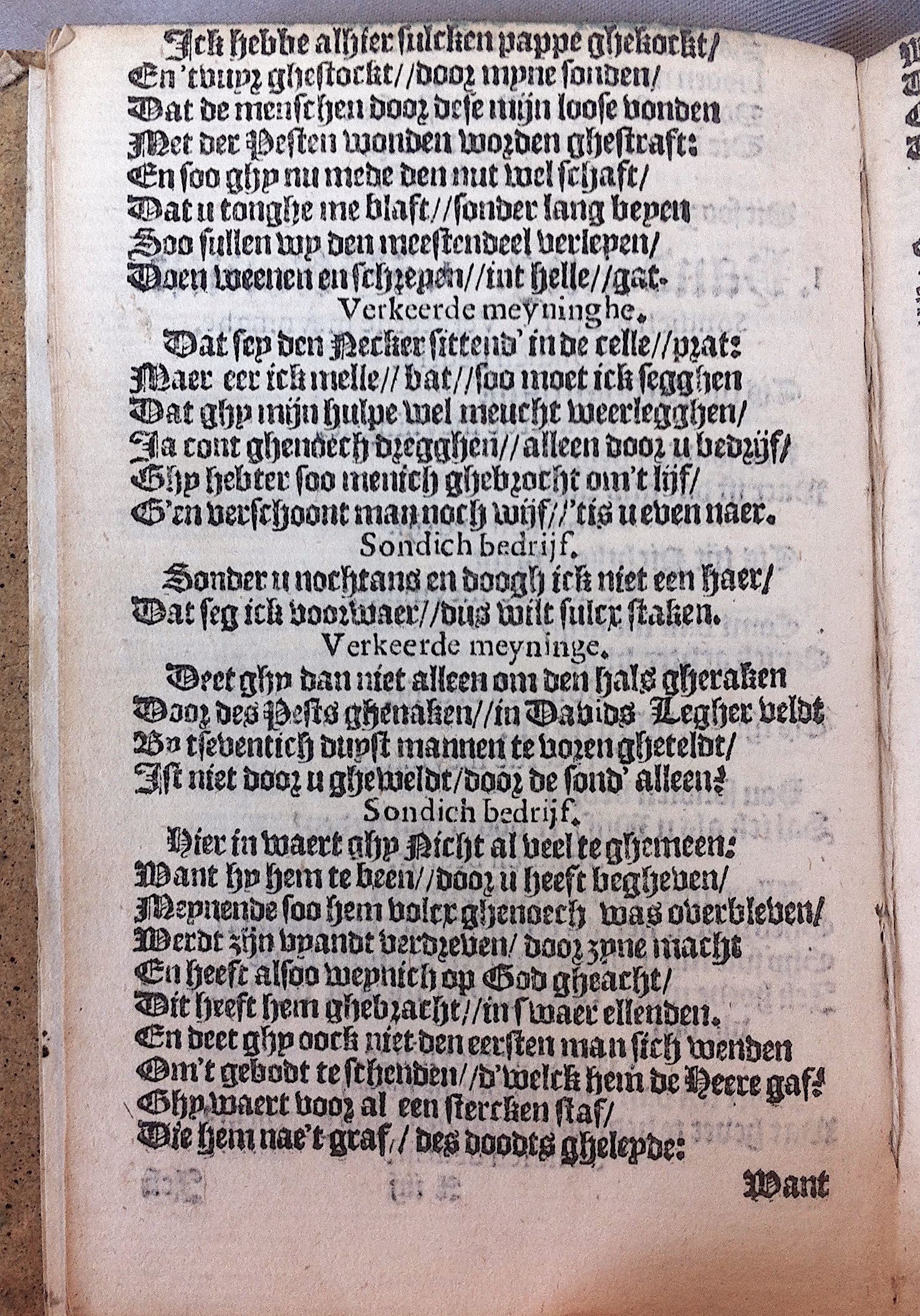 HeynsPestspieghel1602p08