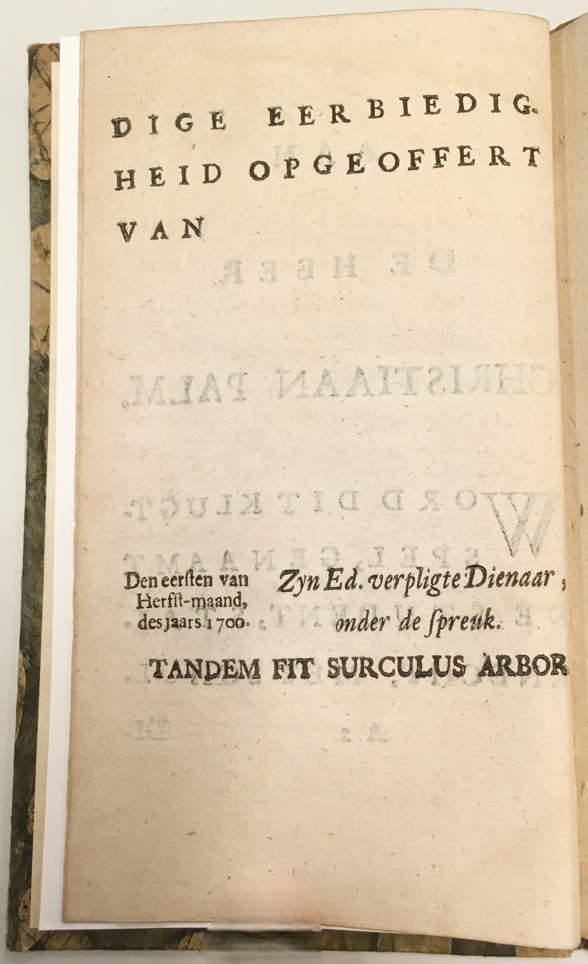 HovenStudentStalknecht1700a04