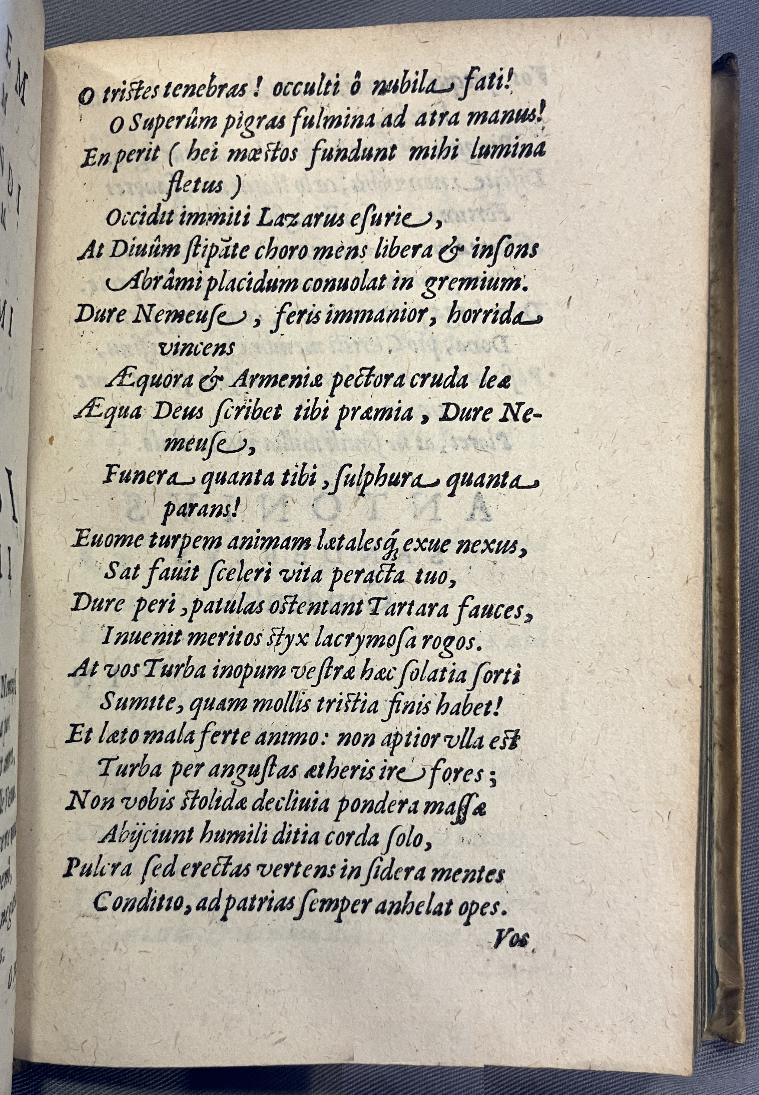 AMarcaOpera1613a11