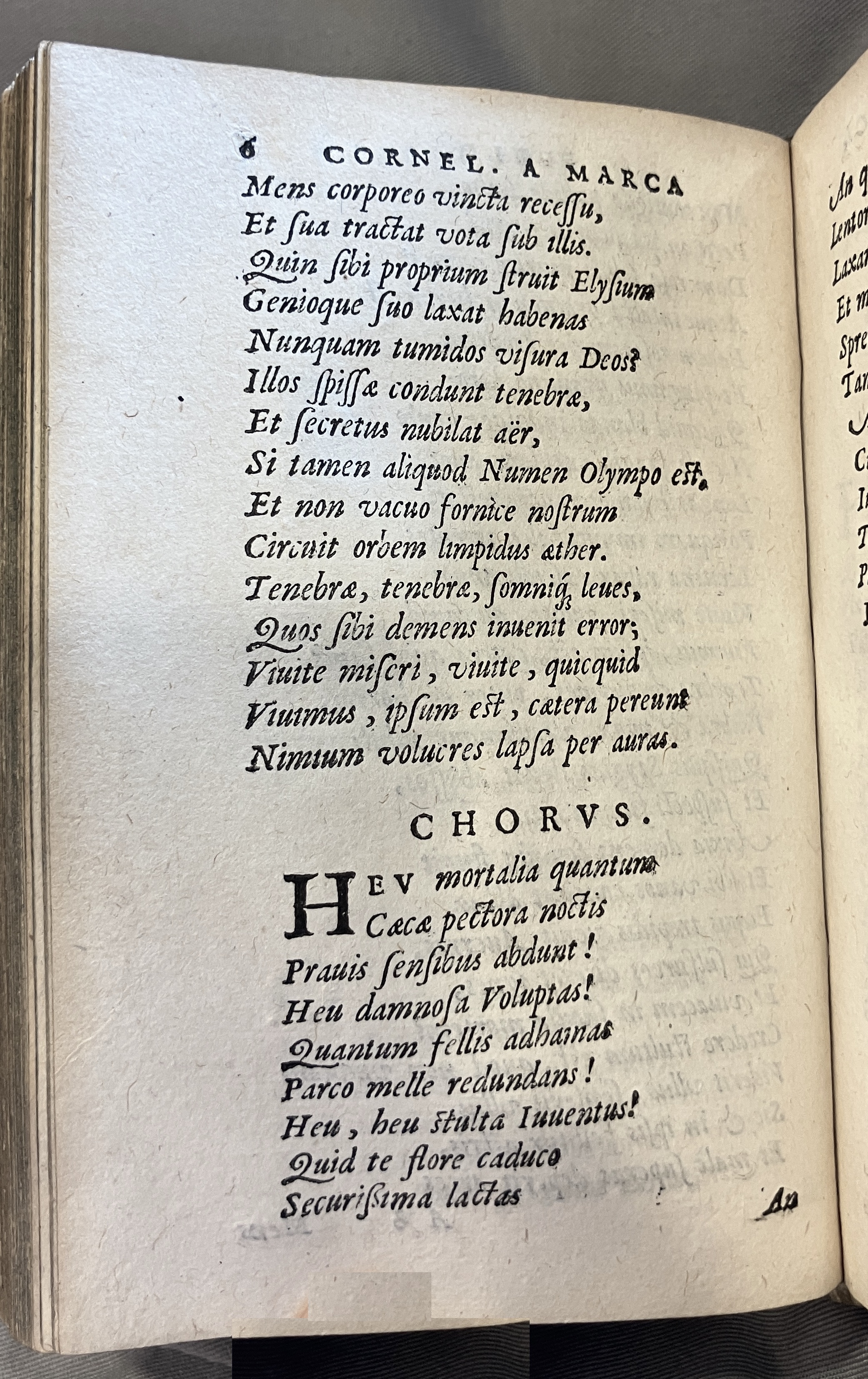AMarcaOpera1613p006