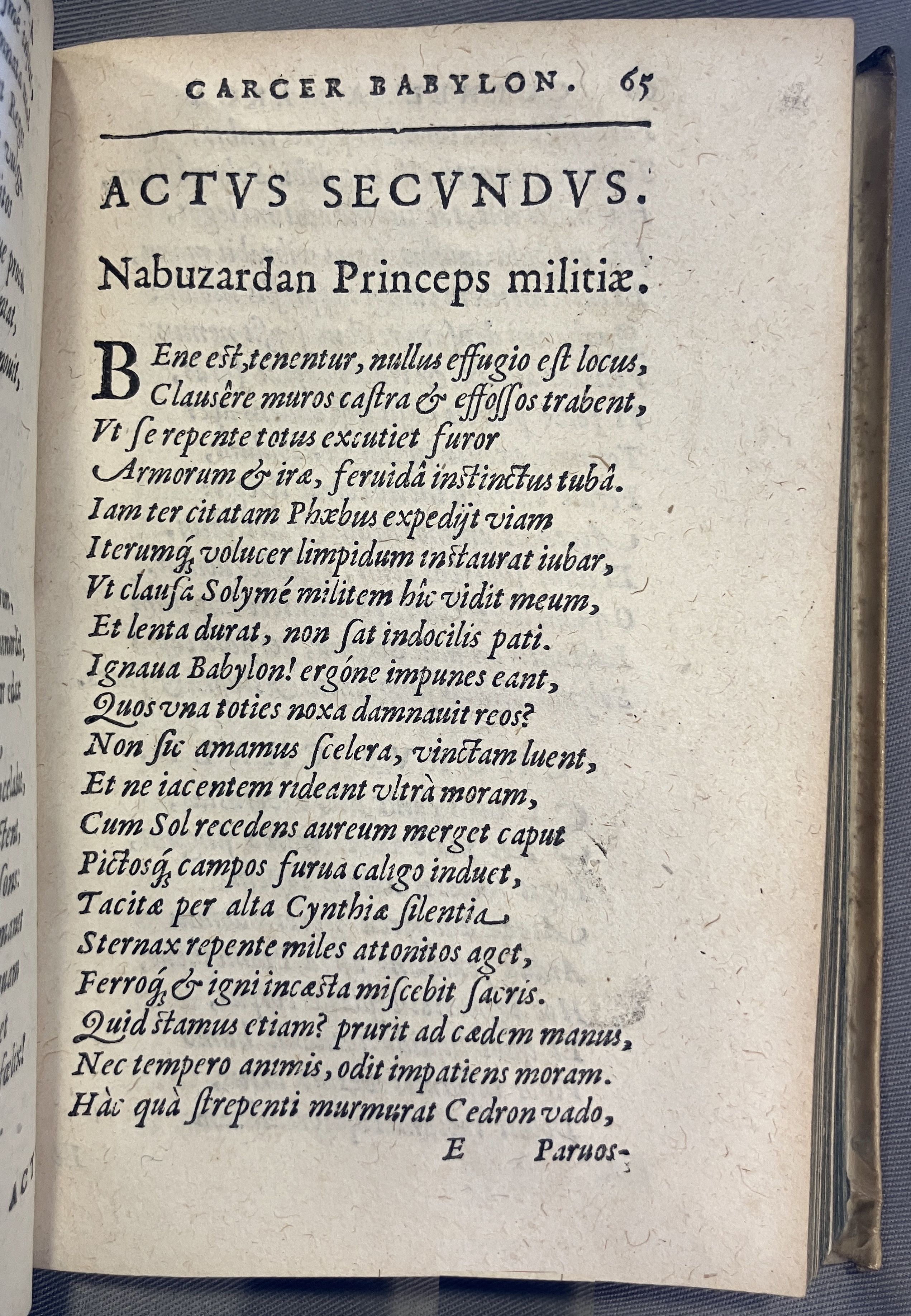AMarcaOpera1613p065
