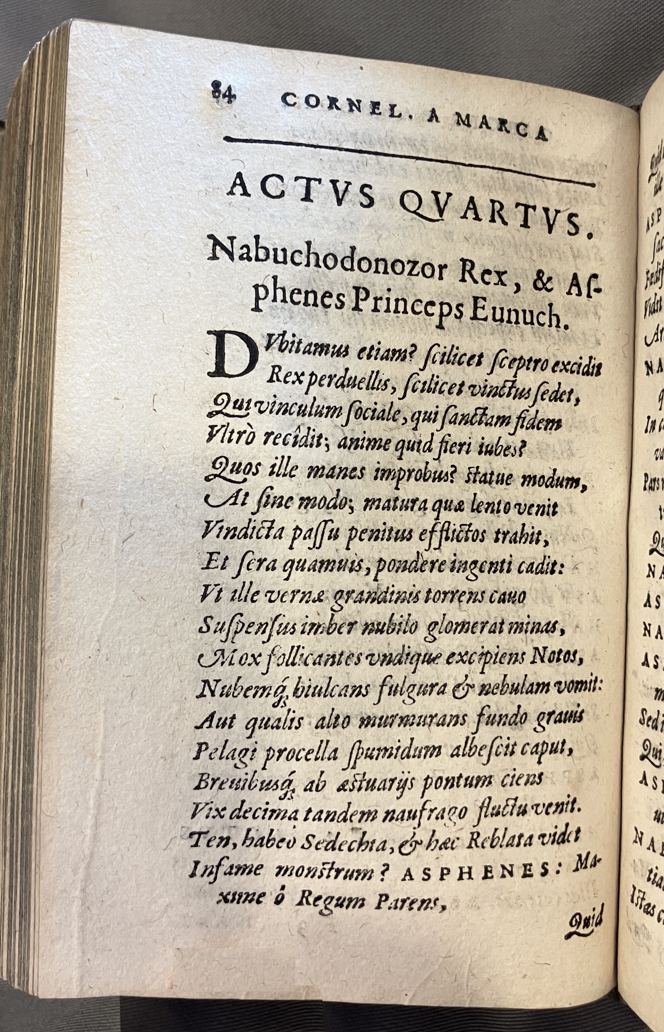 AMarcaOpera1613p084