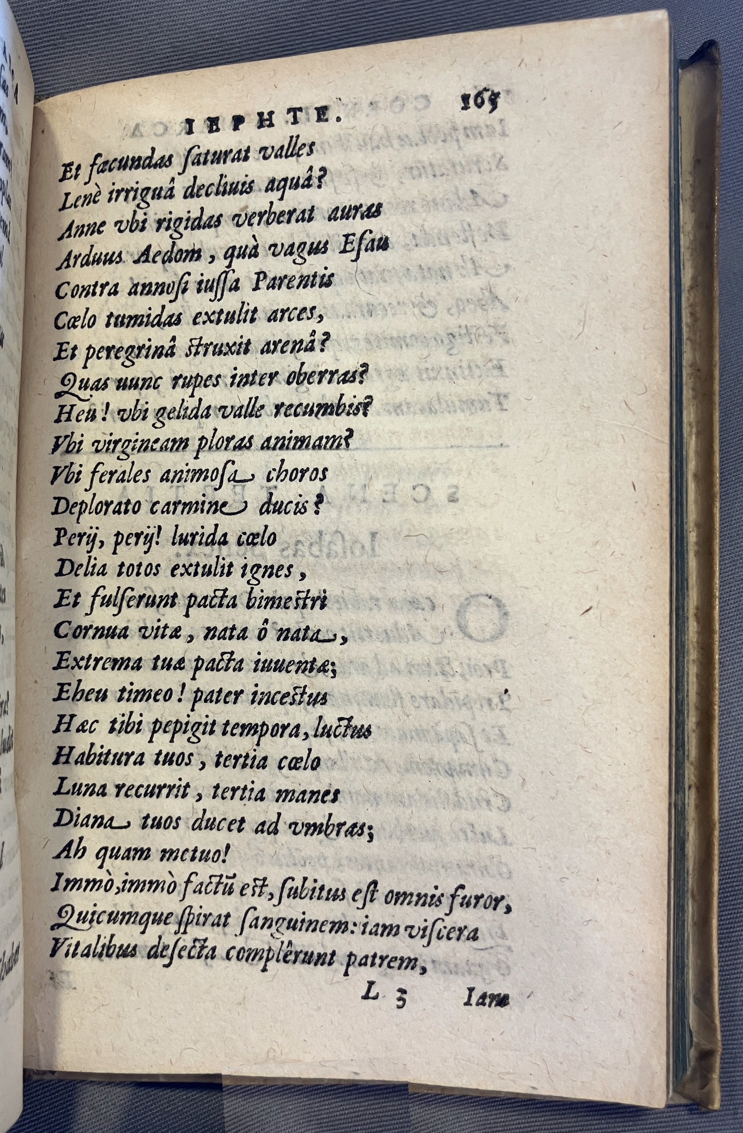 AMarcaOpera1613p165