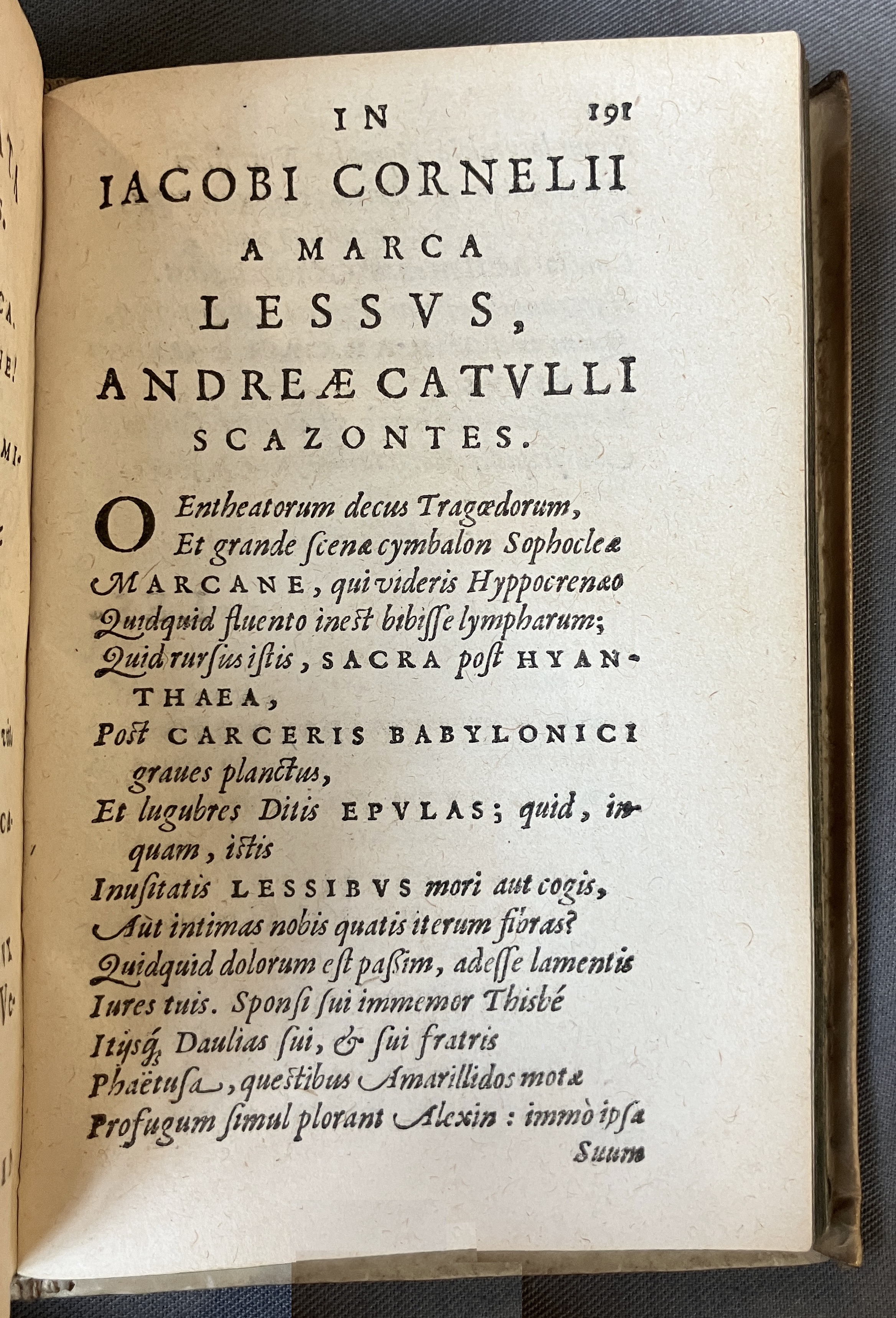 AMarcaOpera1613p191