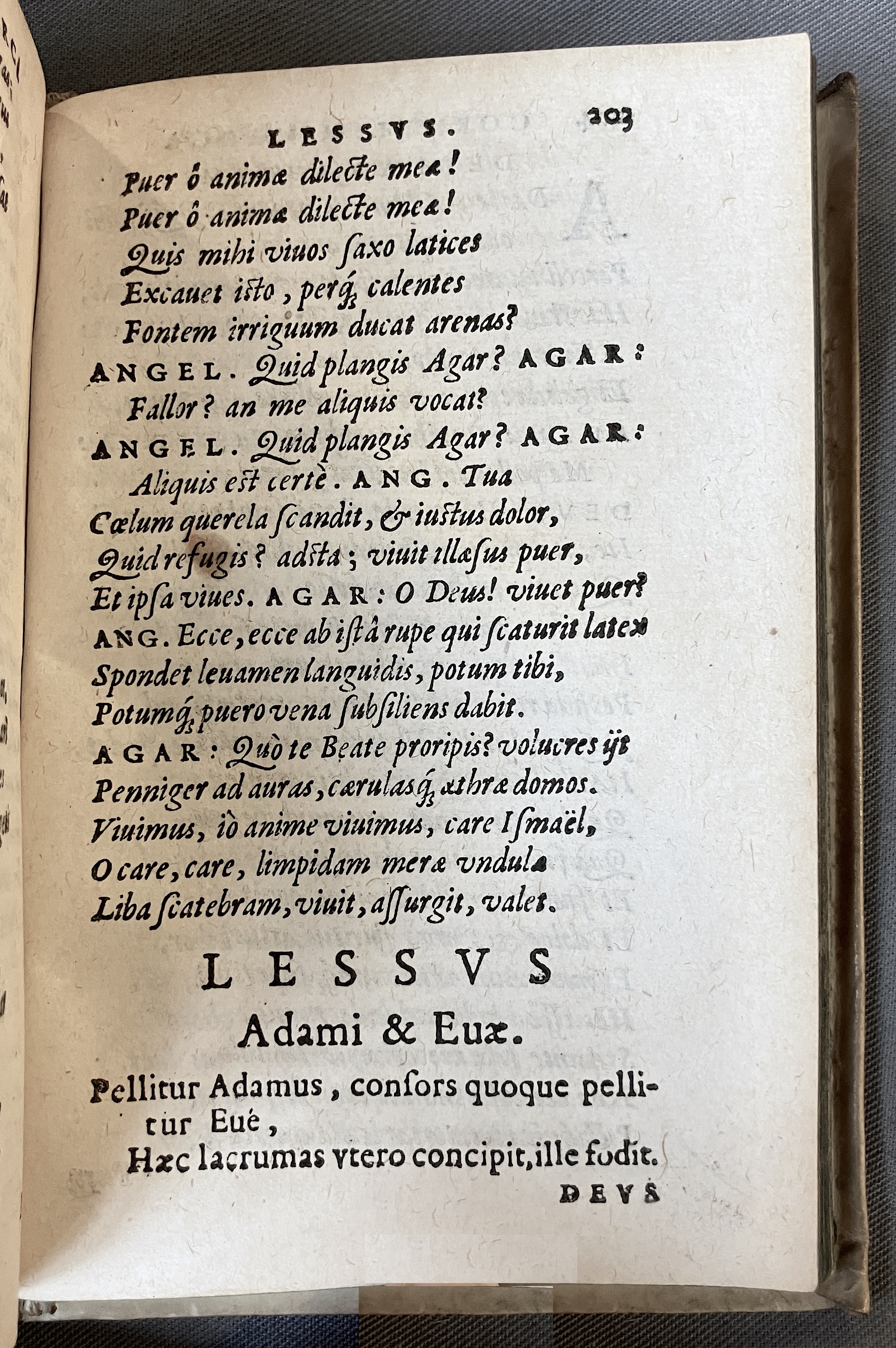 AMarcaOpera1613p203