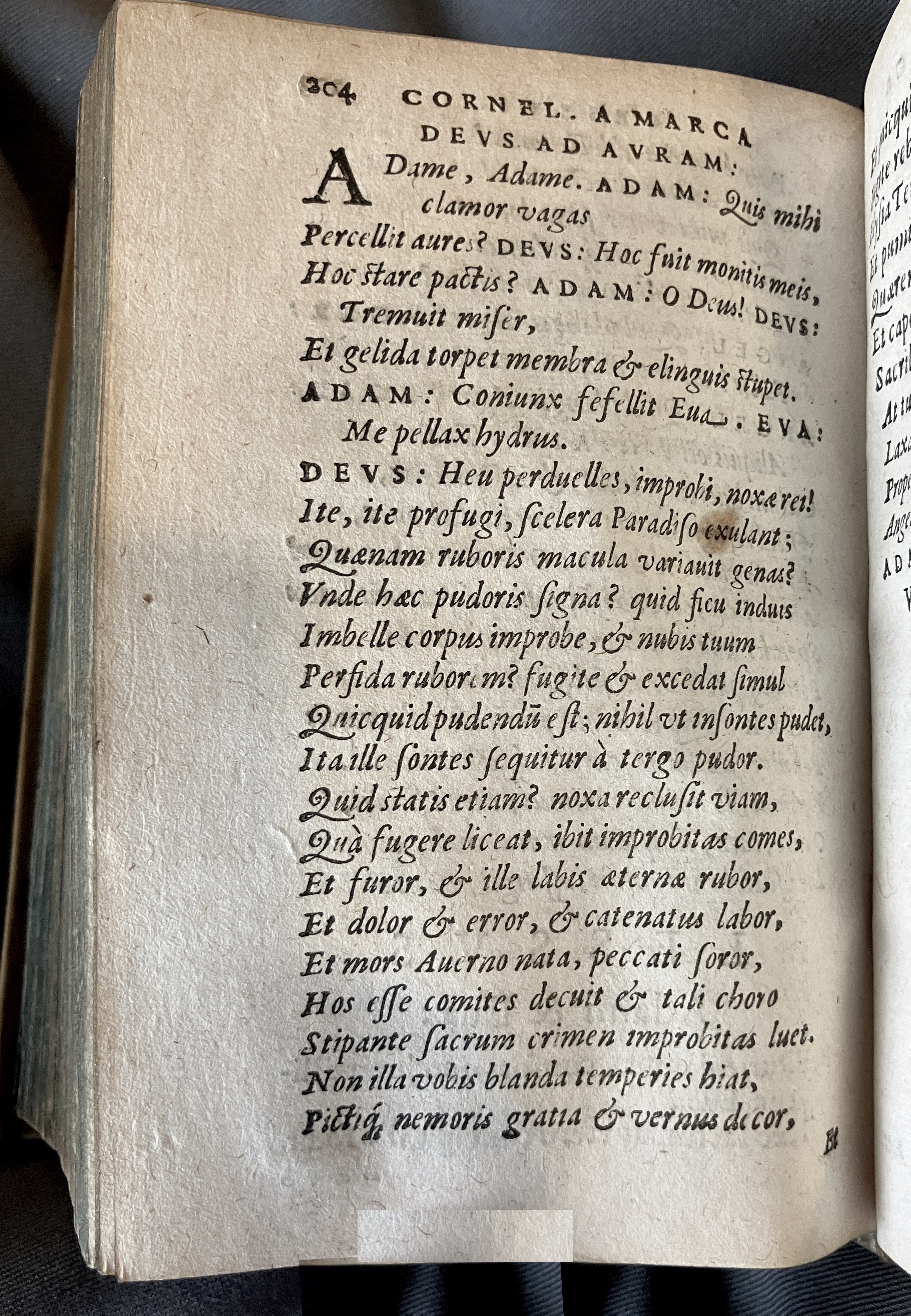 AMarcaOpera1613p204