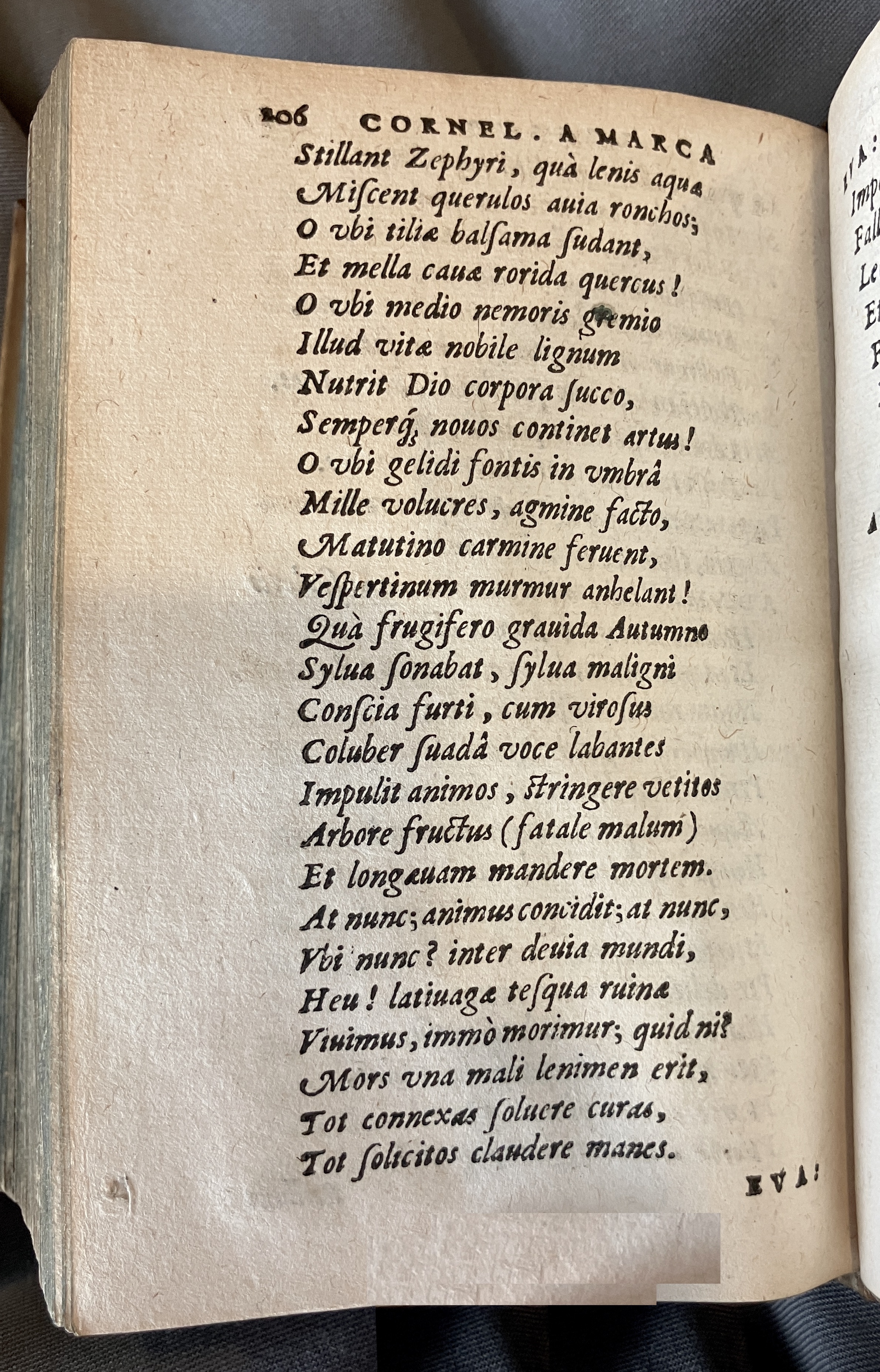 AMarcaOpera1613p206