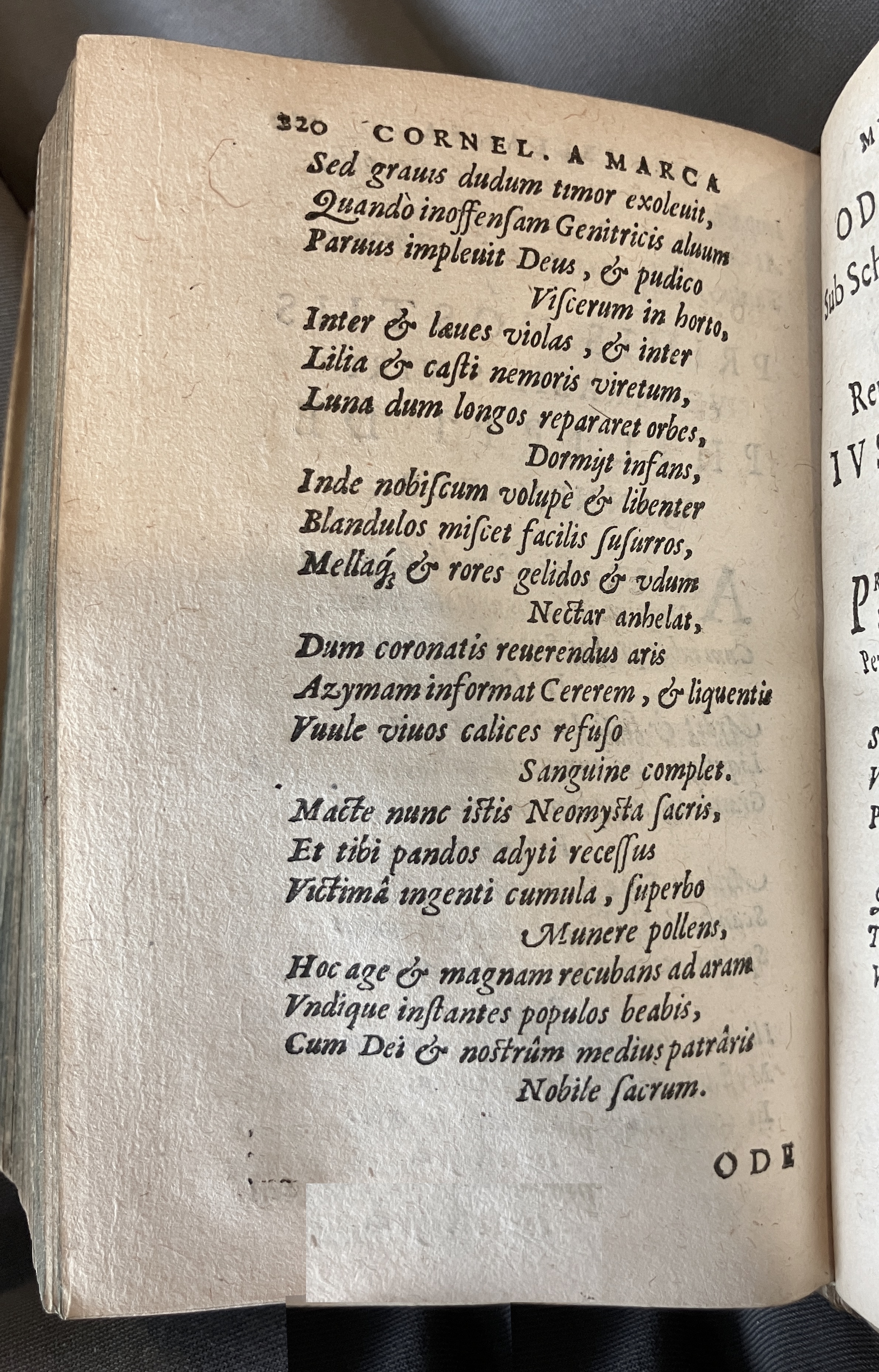 AMarcaOpera1613p220