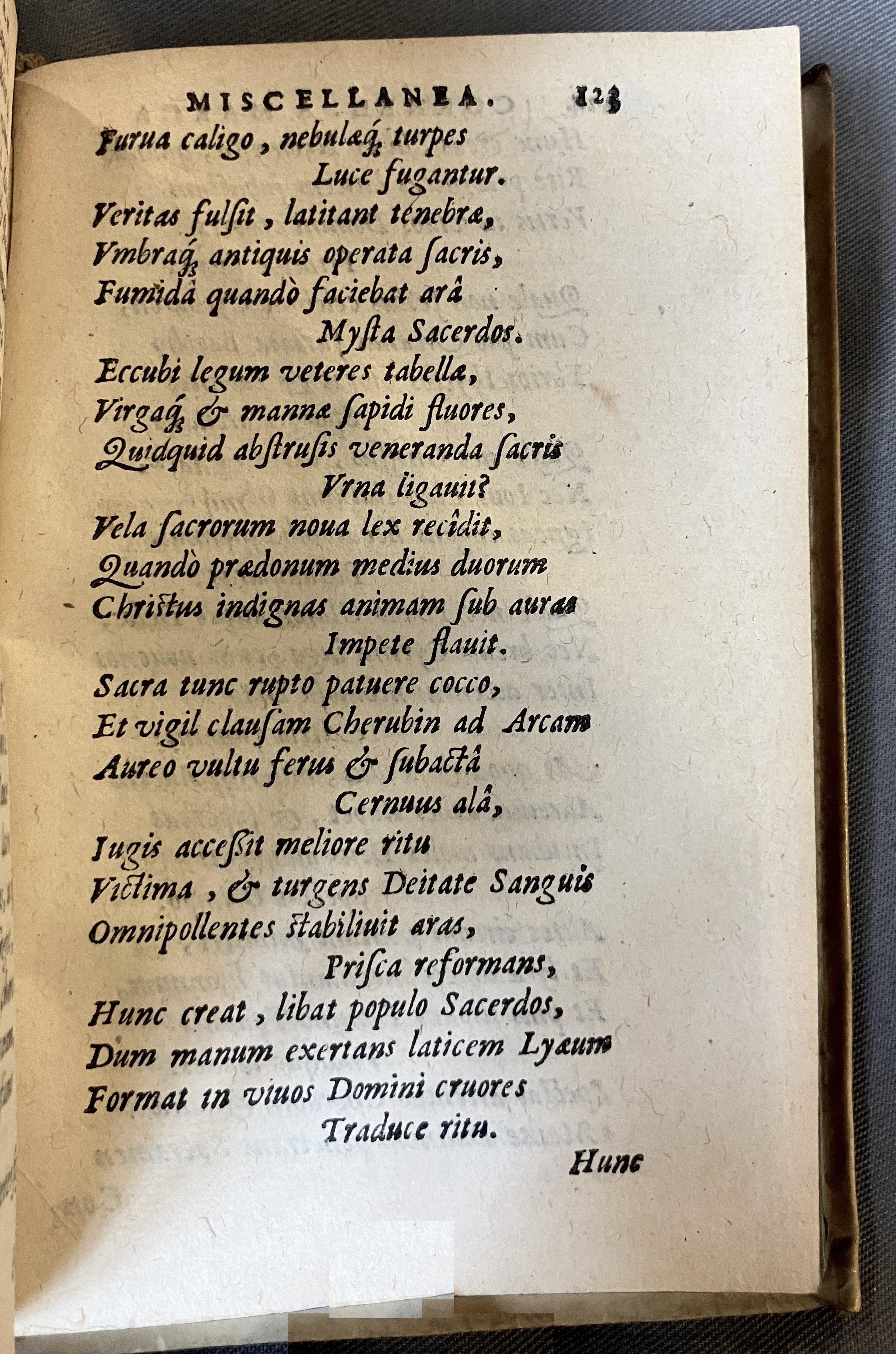 AMarcaOpera1613p223