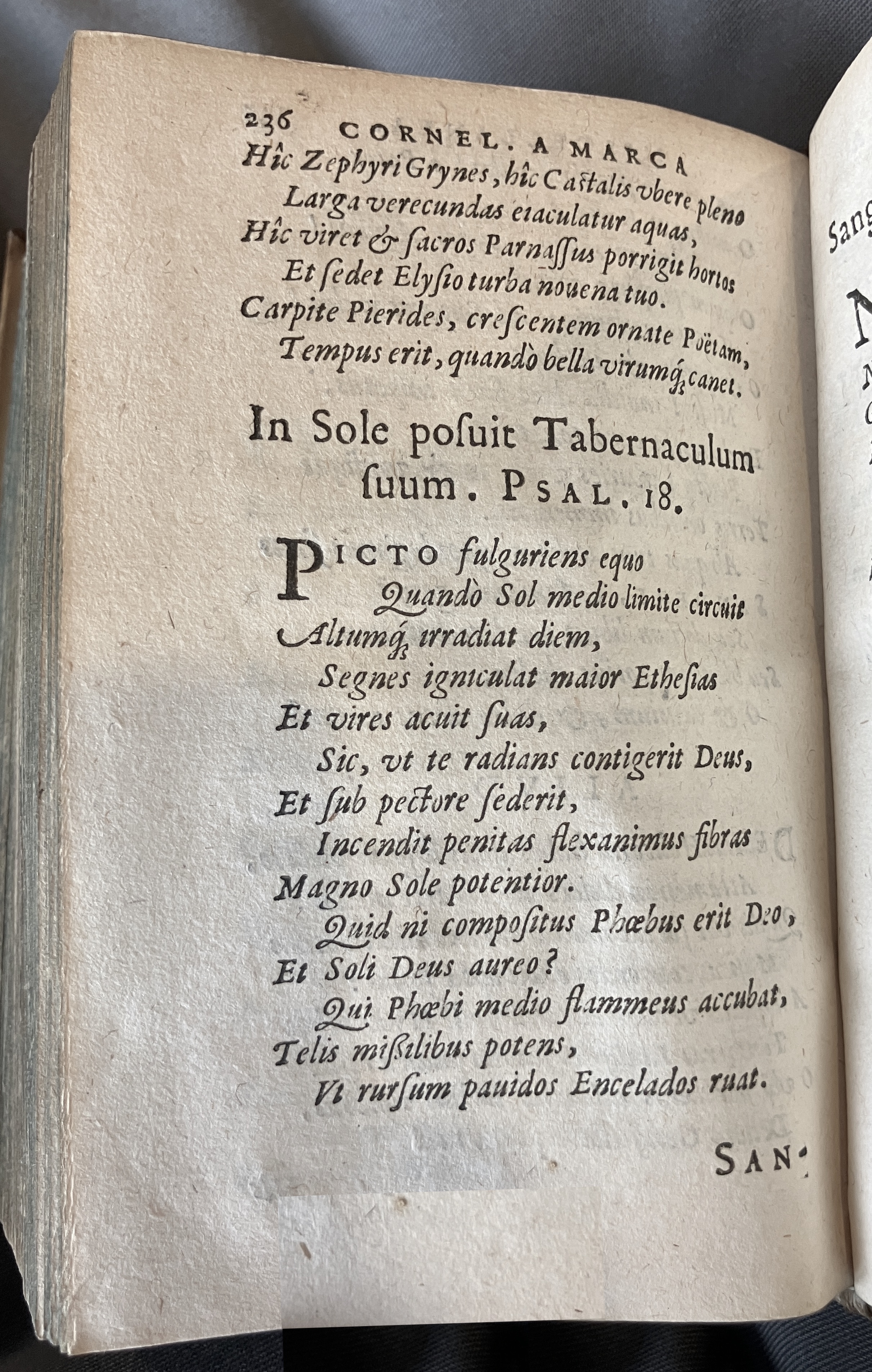 AMarcaOpera1613p236