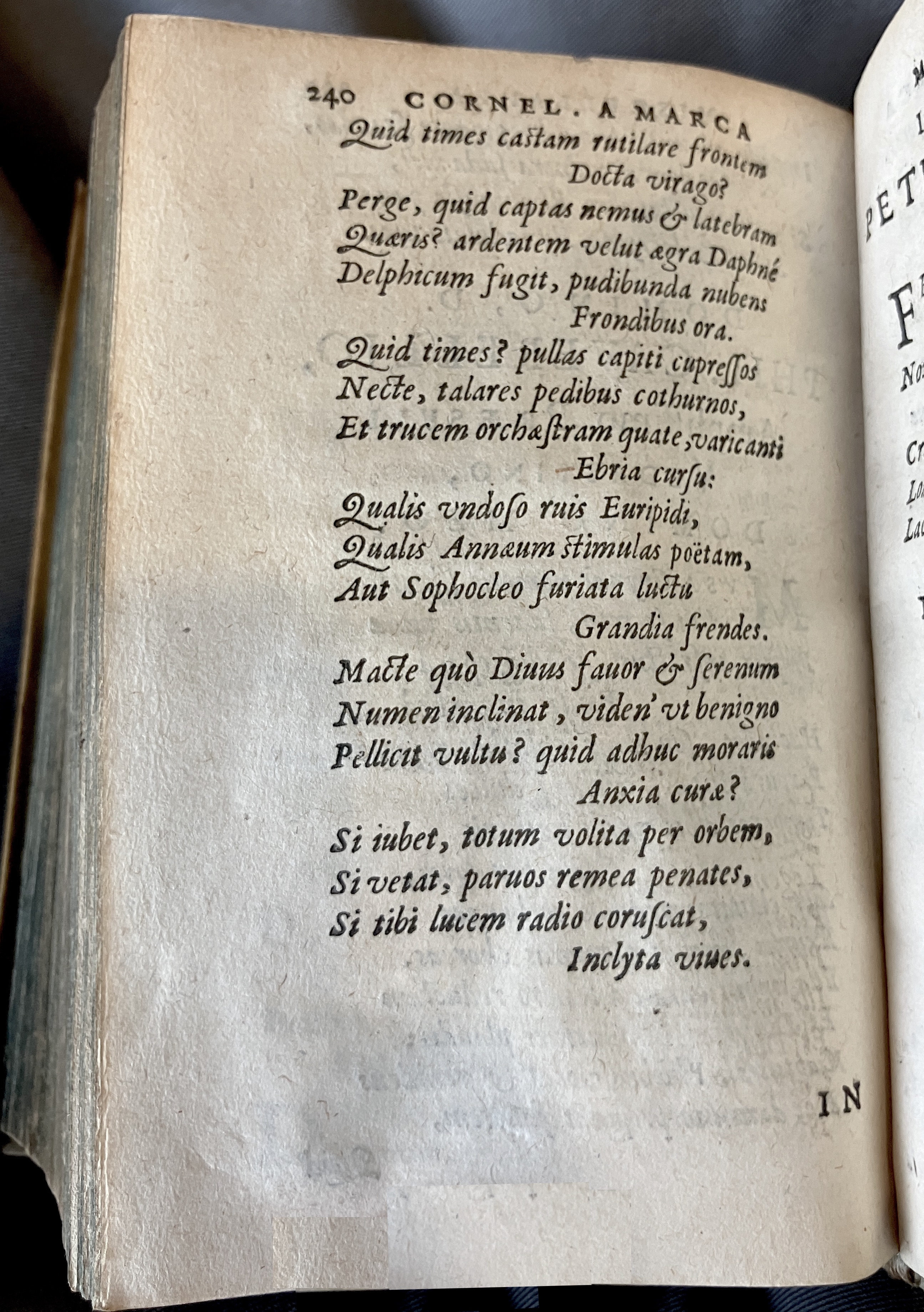 AMarcaOpera1613p240