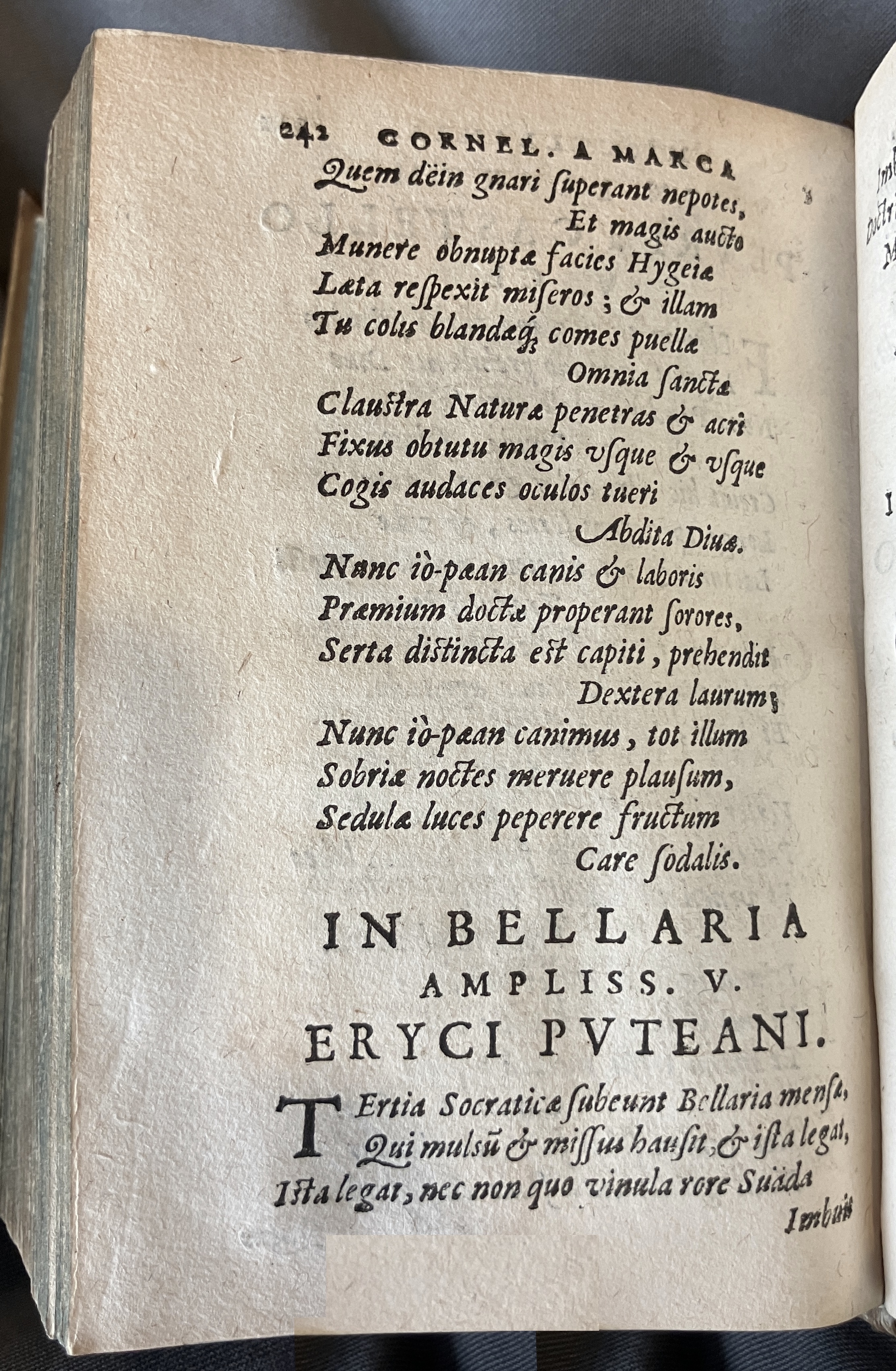 AMarcaOpera1613p242