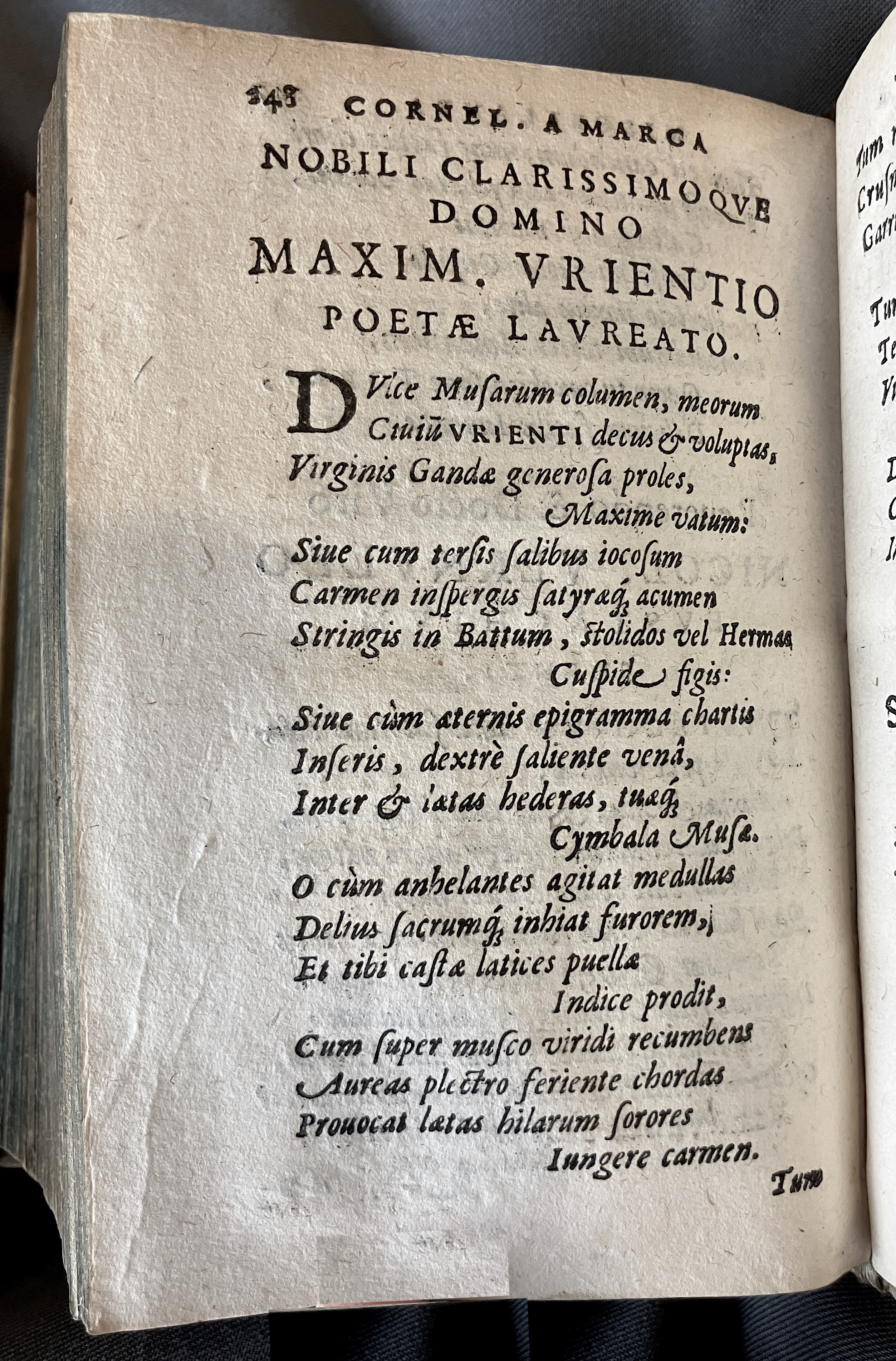 AMarcaOpera1613p248