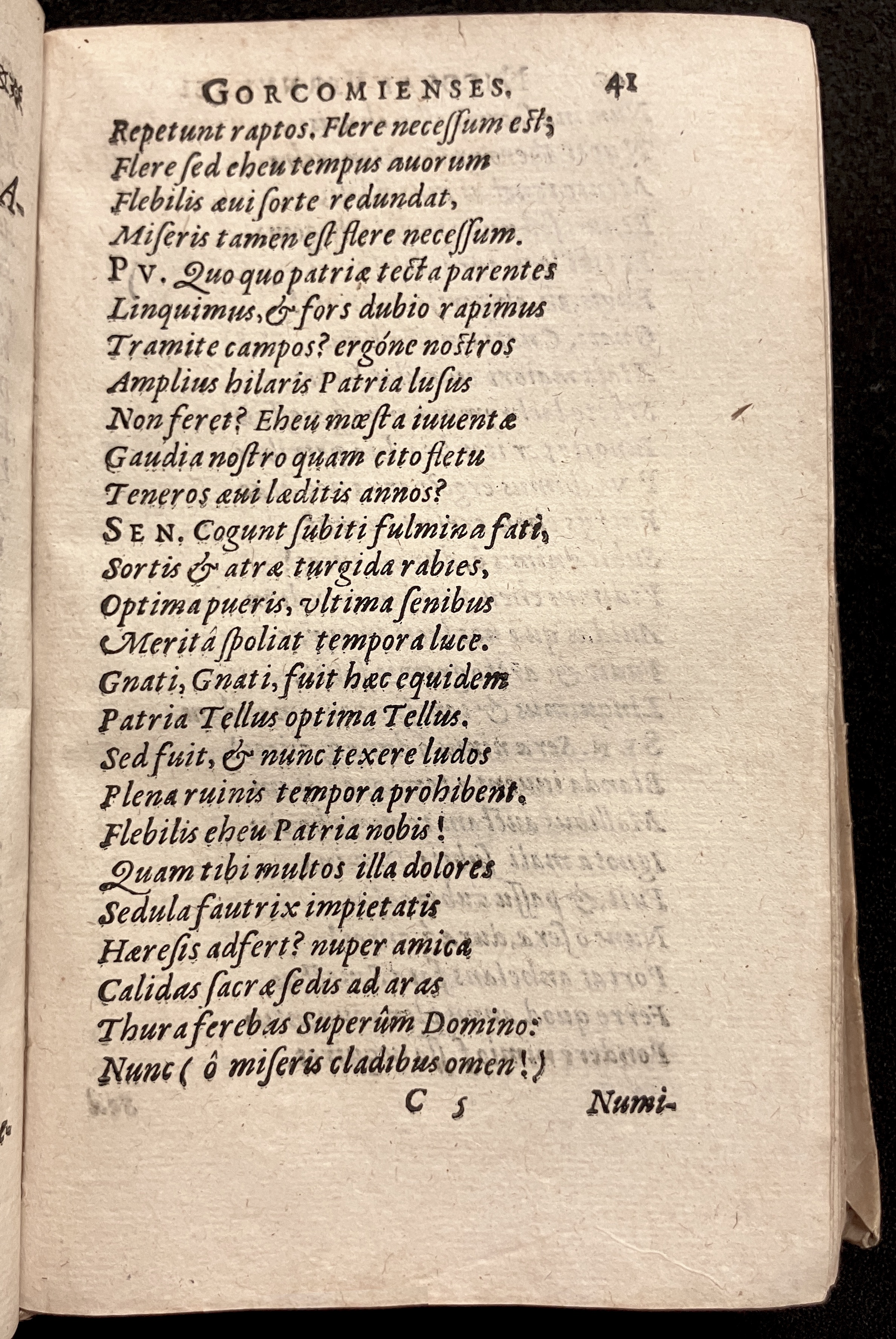 VernulaeusGorcomienses1610p041