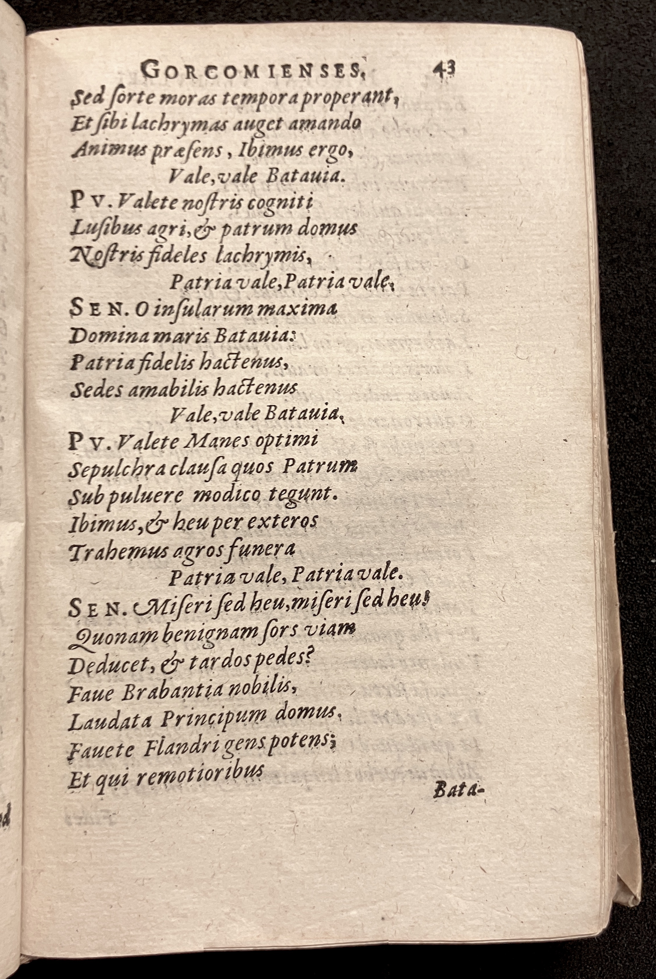 VernulaeusGorcomienses1610p043