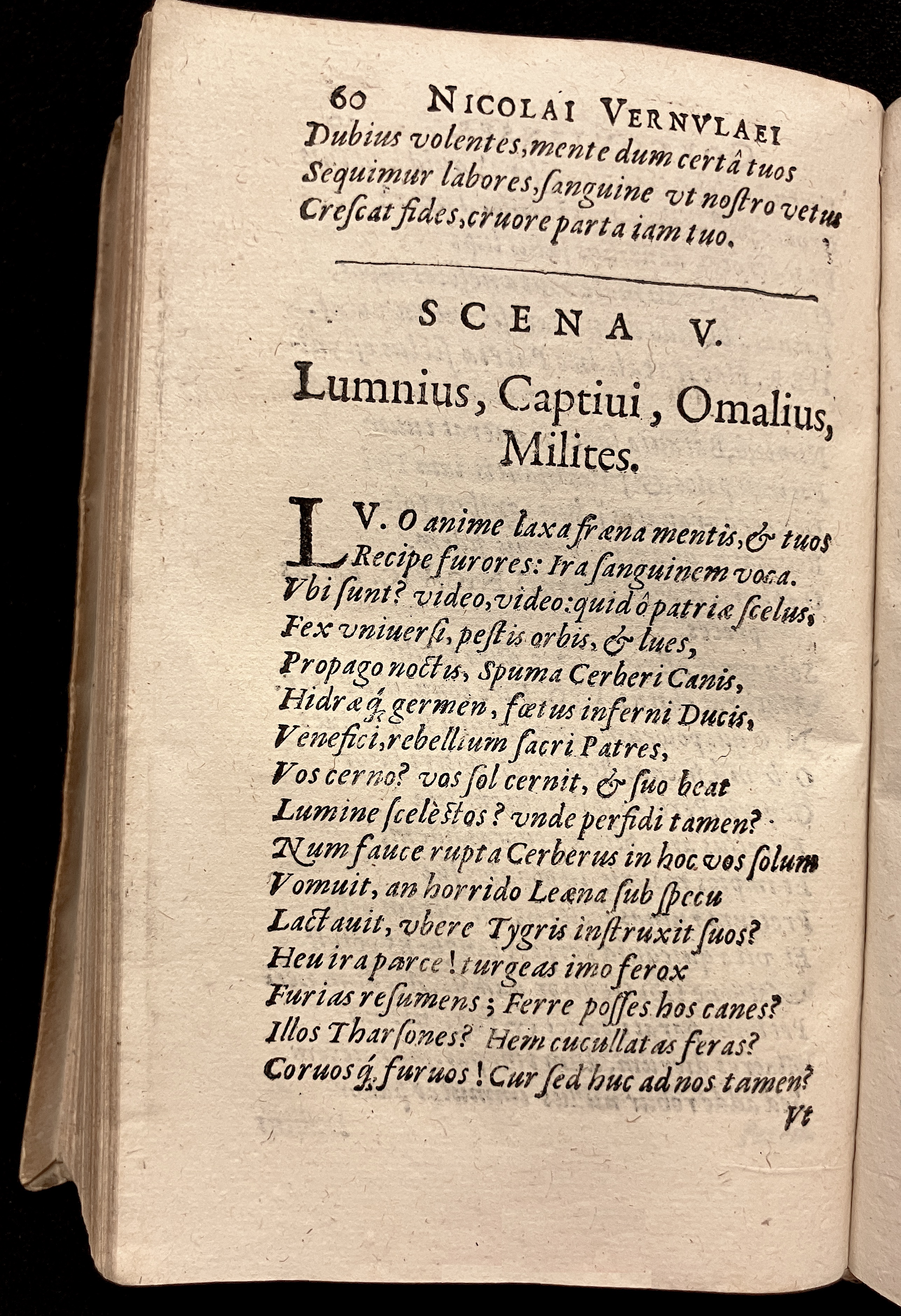 VernulaeusGorcomienses1610p060