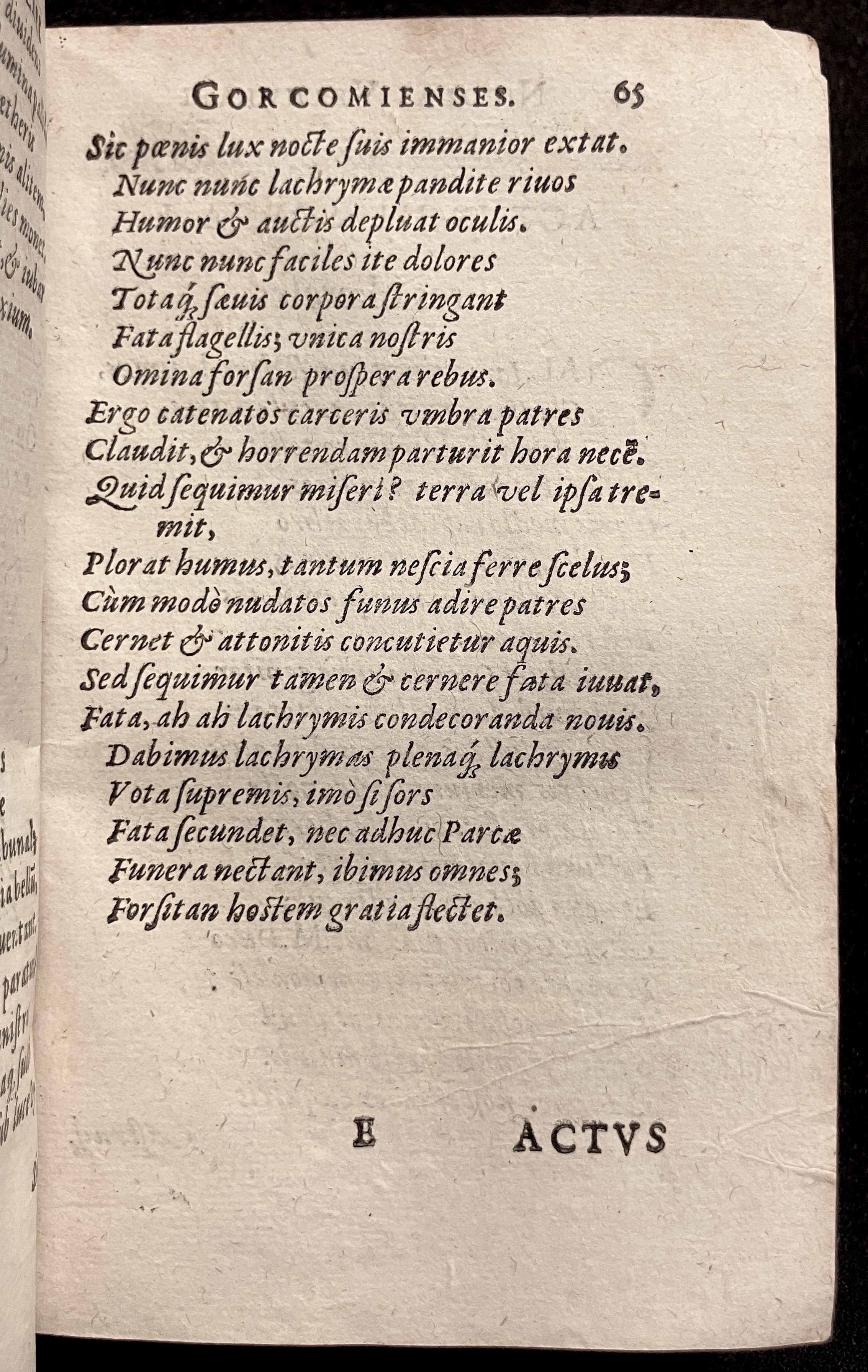 VernulaeusGorcomienses1610p065