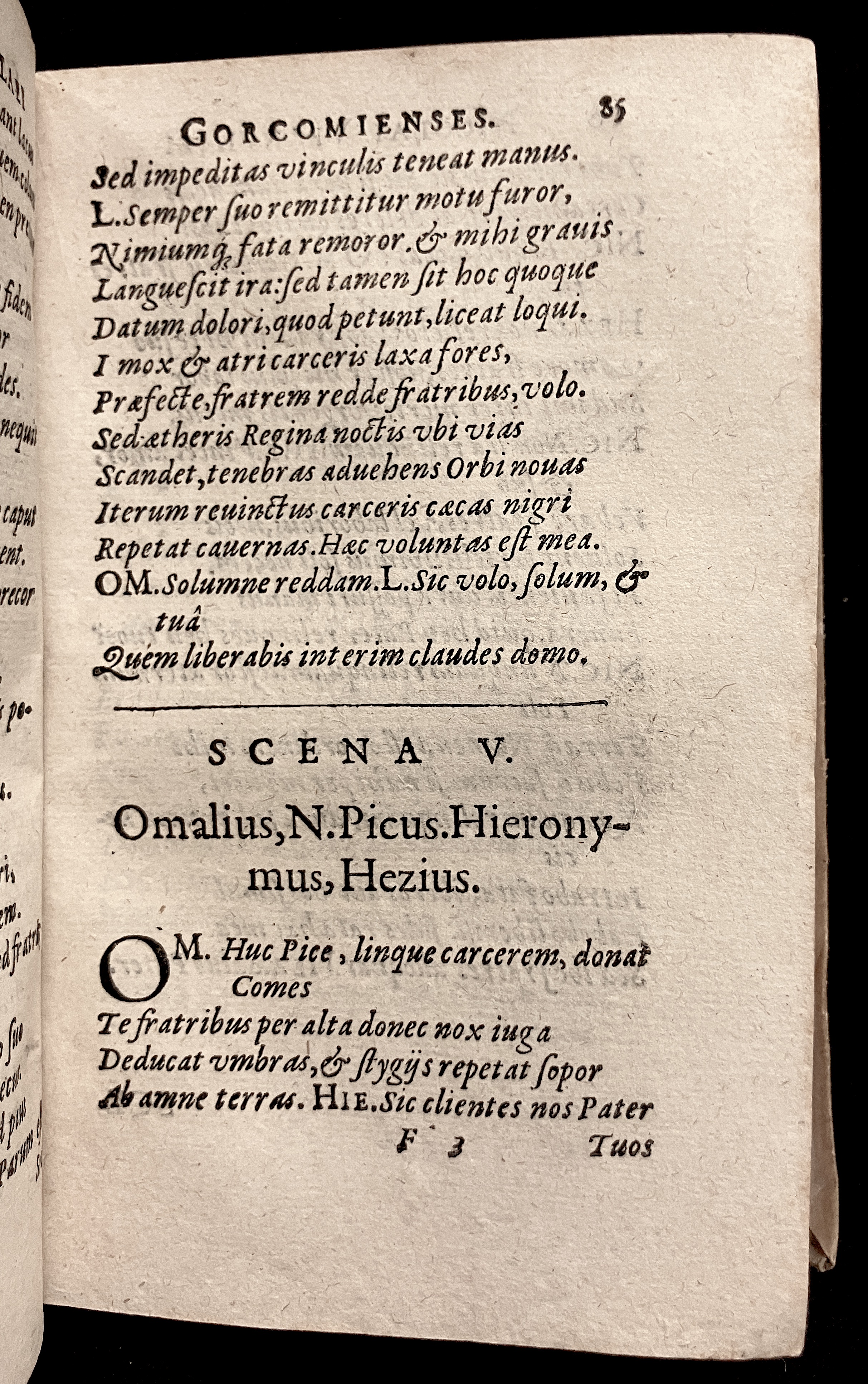 VernulaeusGorcomienses1610p085