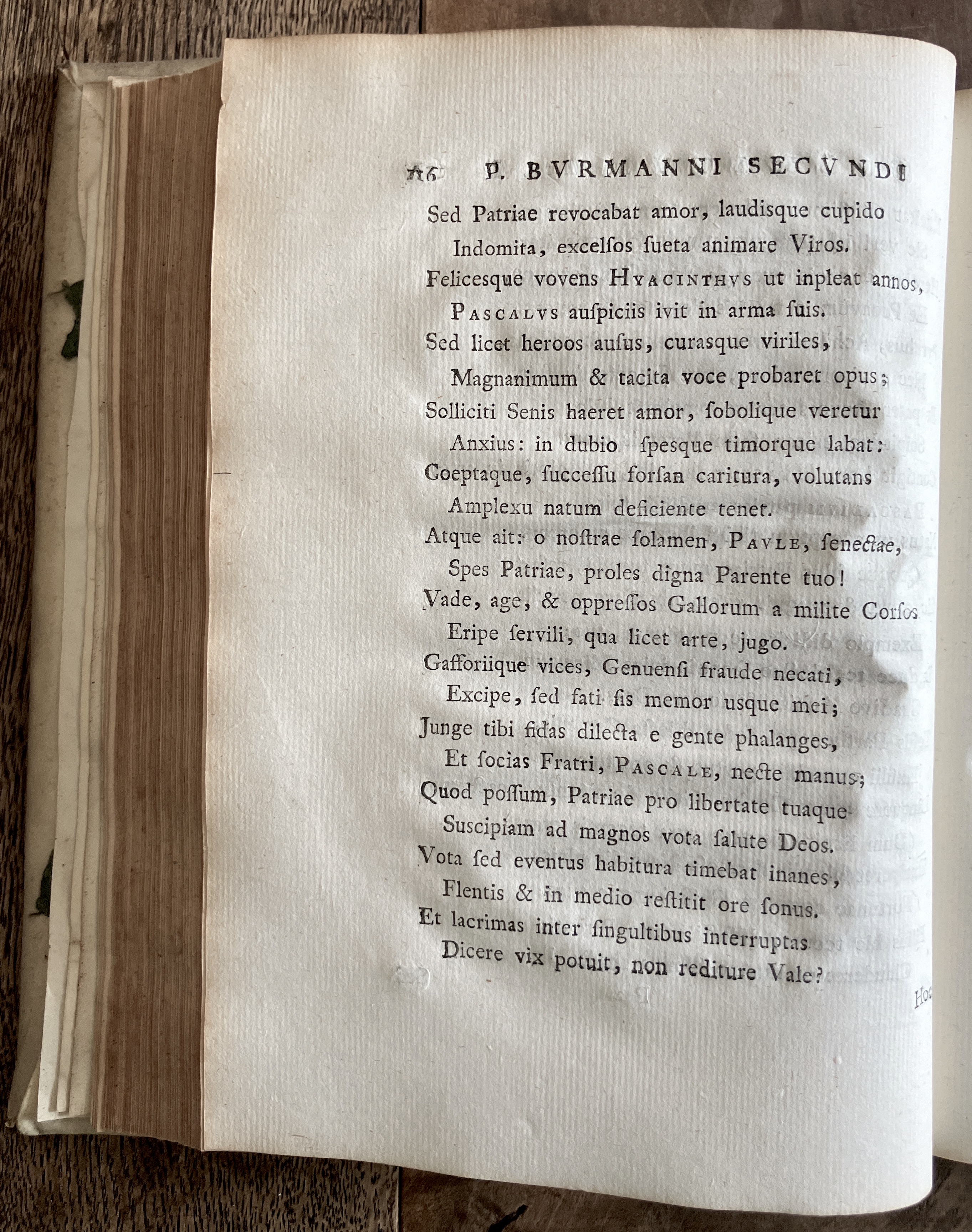 BurmannusPoemata1774p116.jpg