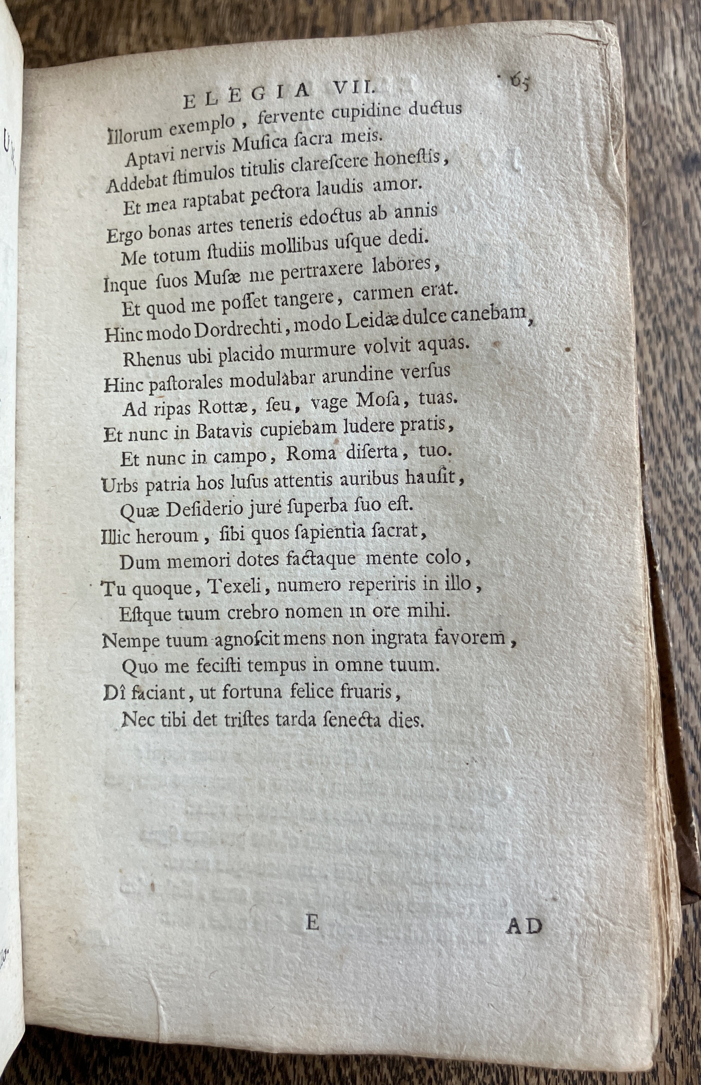 HoogstratenPoemata1728p065.jpg