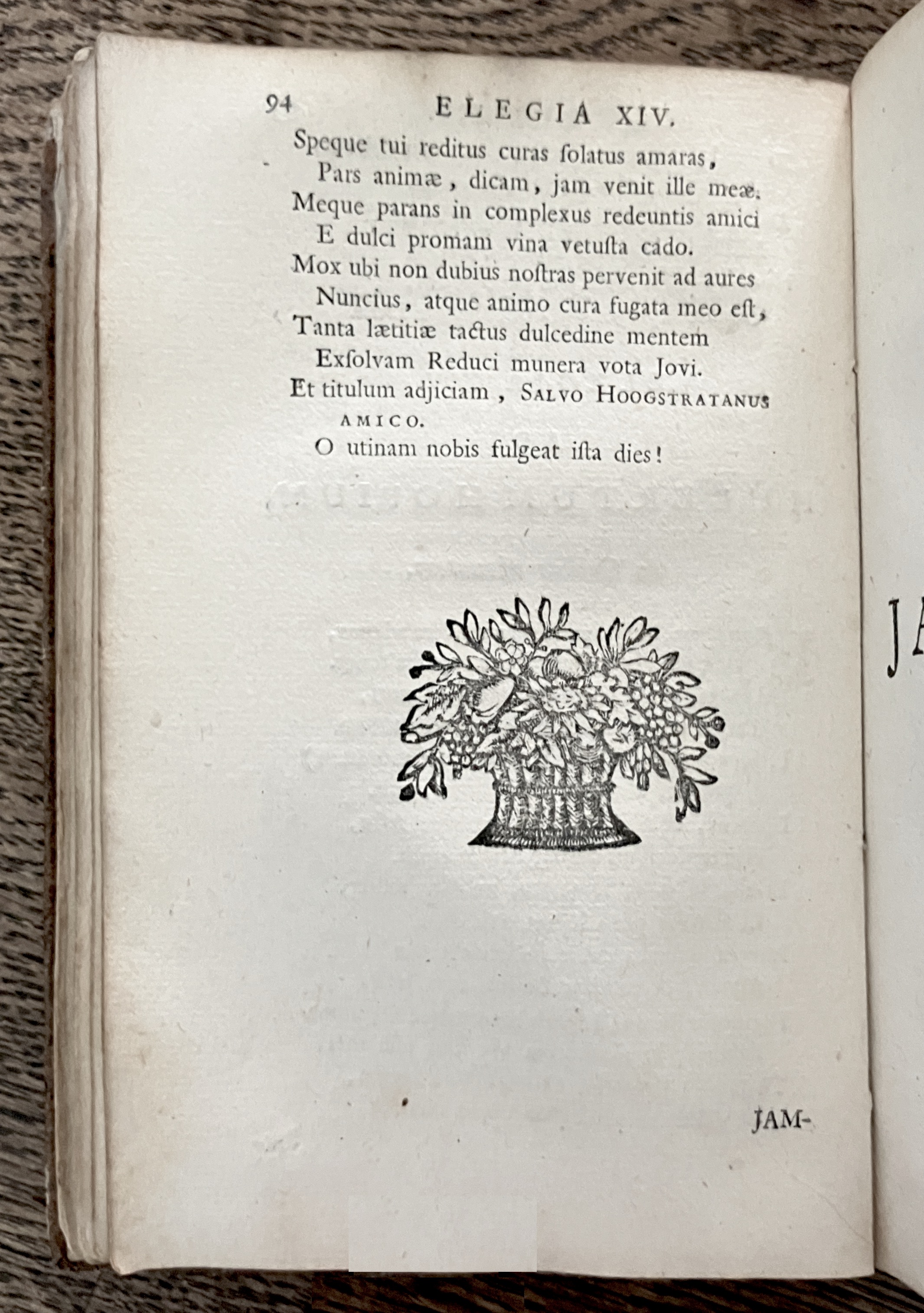 HoogstratenPoemata1728p094.jpg