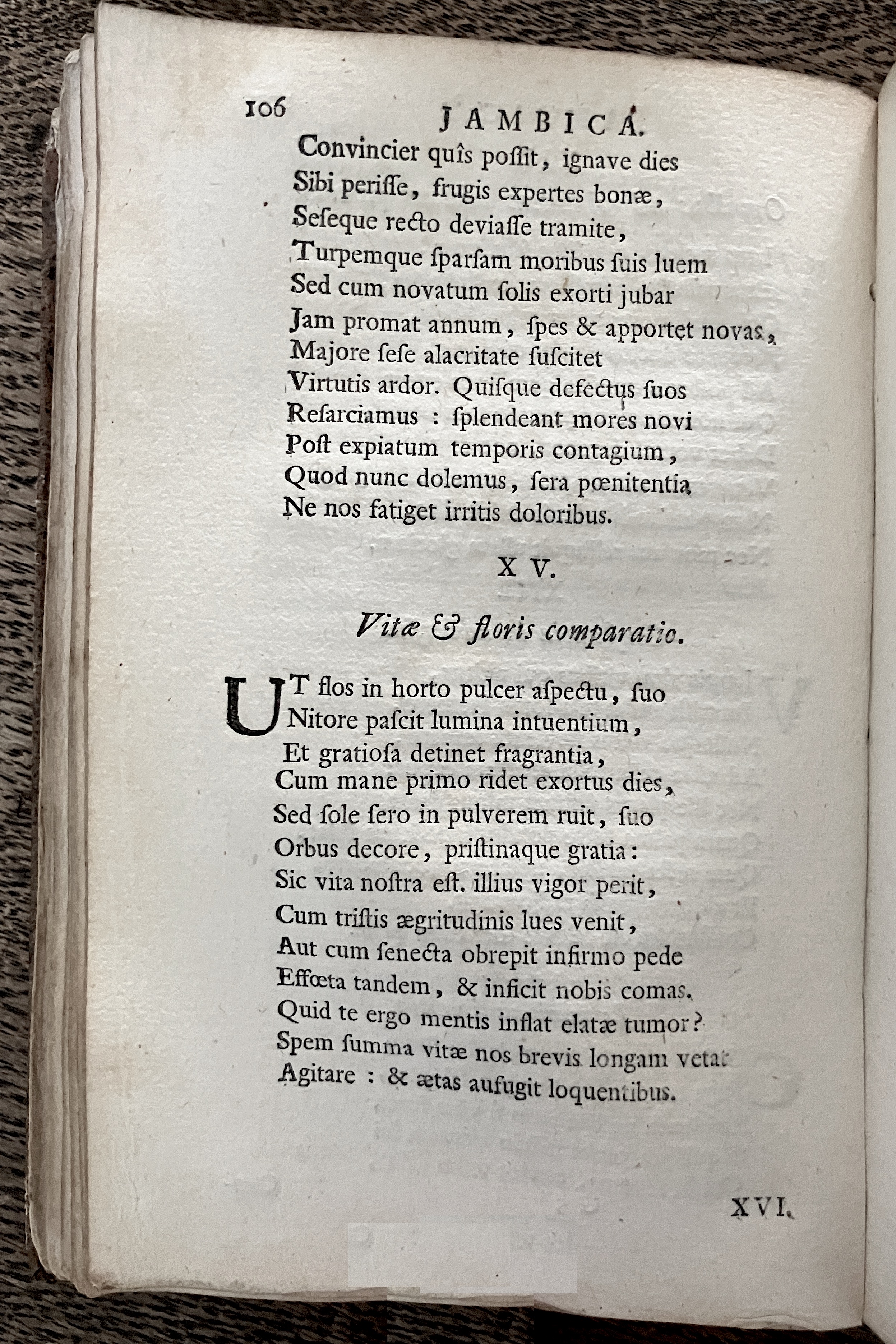 HoogstratenPoemata1728p106