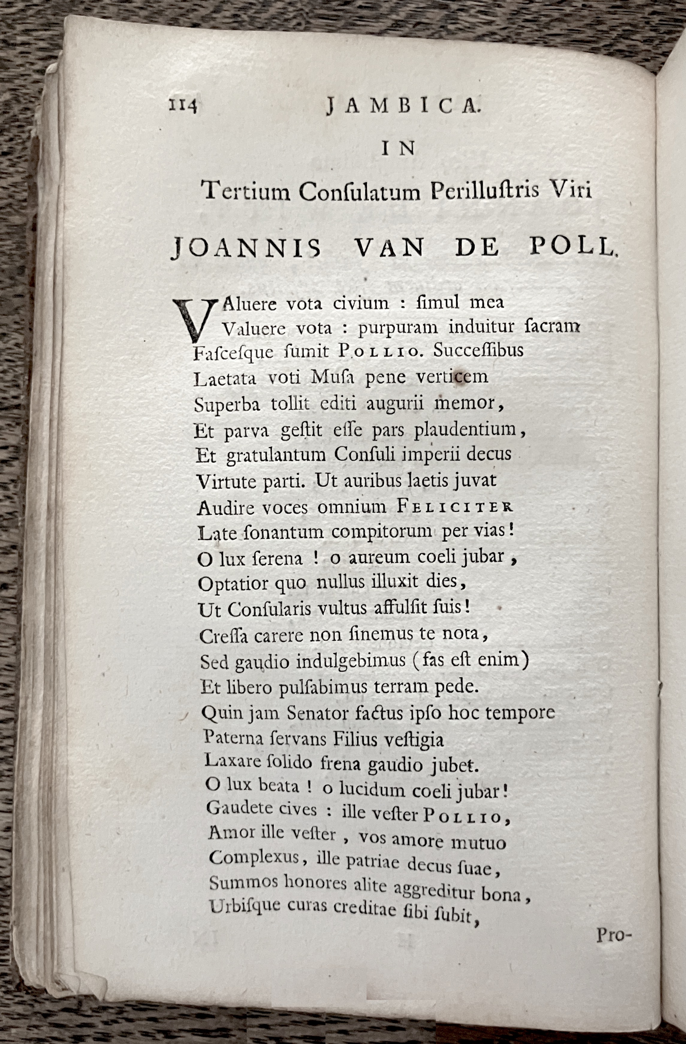 HoogstratenPoemata1728p114.jpg