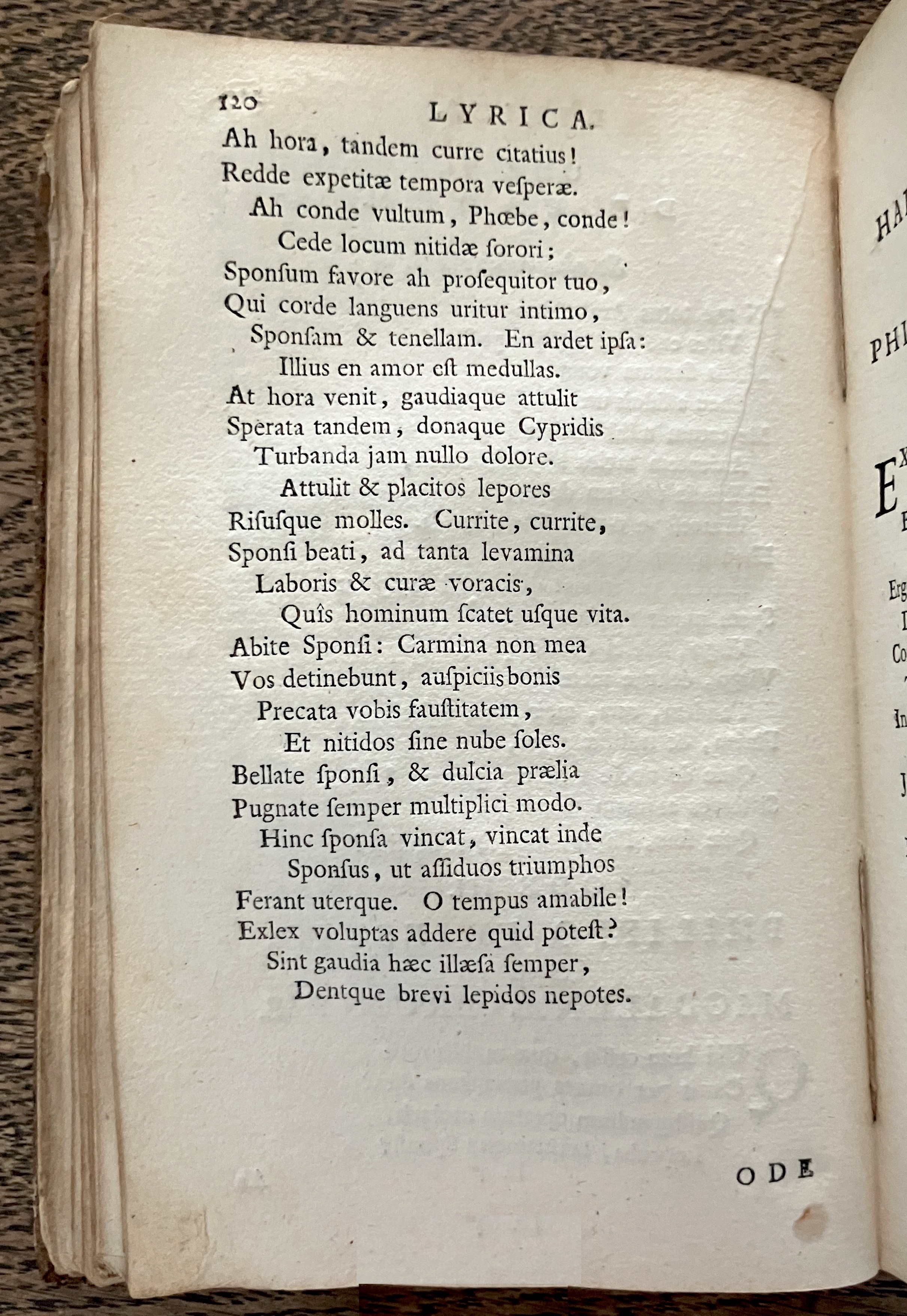 HoogstratenPoemata1728p120.jpg