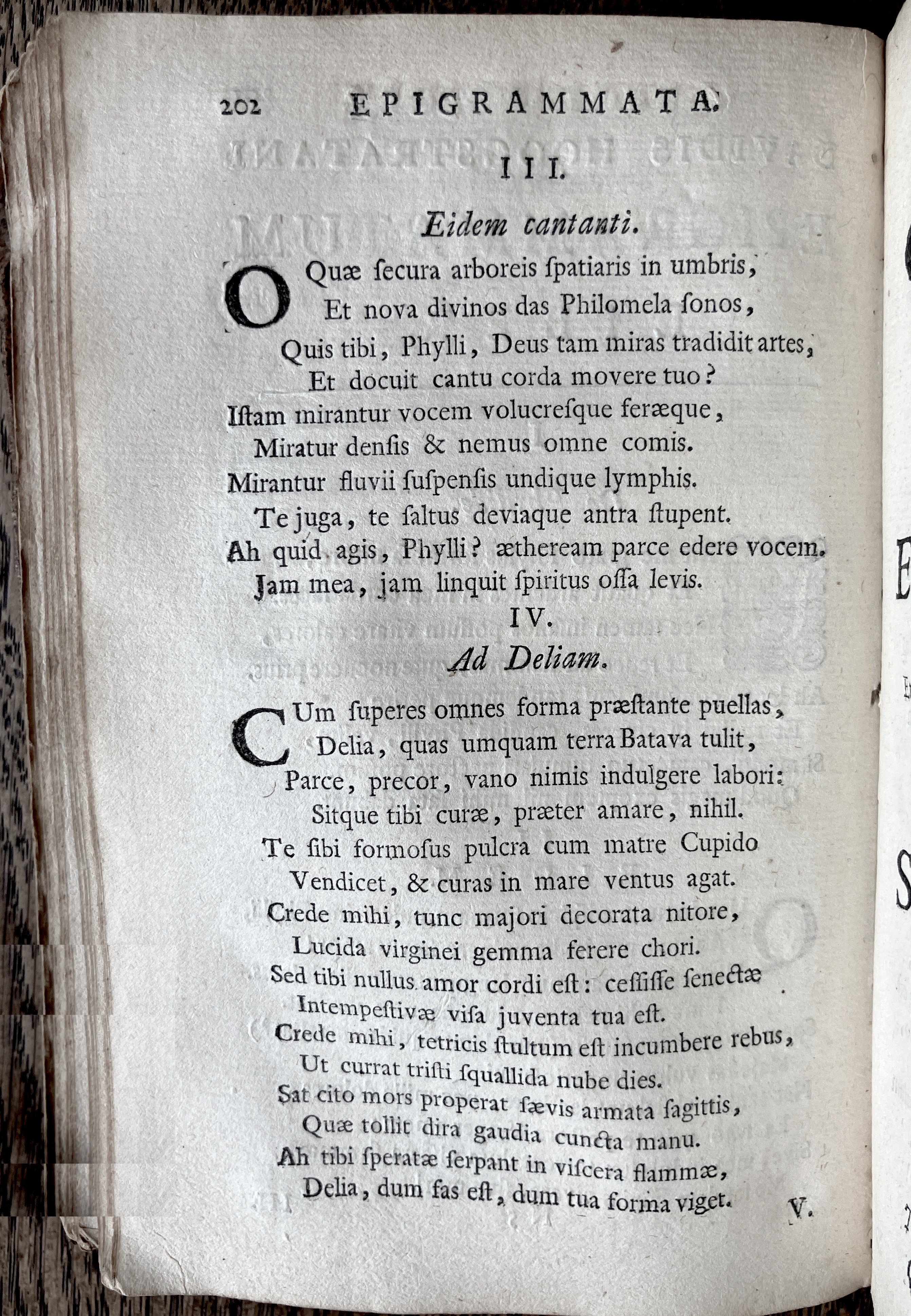 HoogstratenPoemata1728p202.jpg