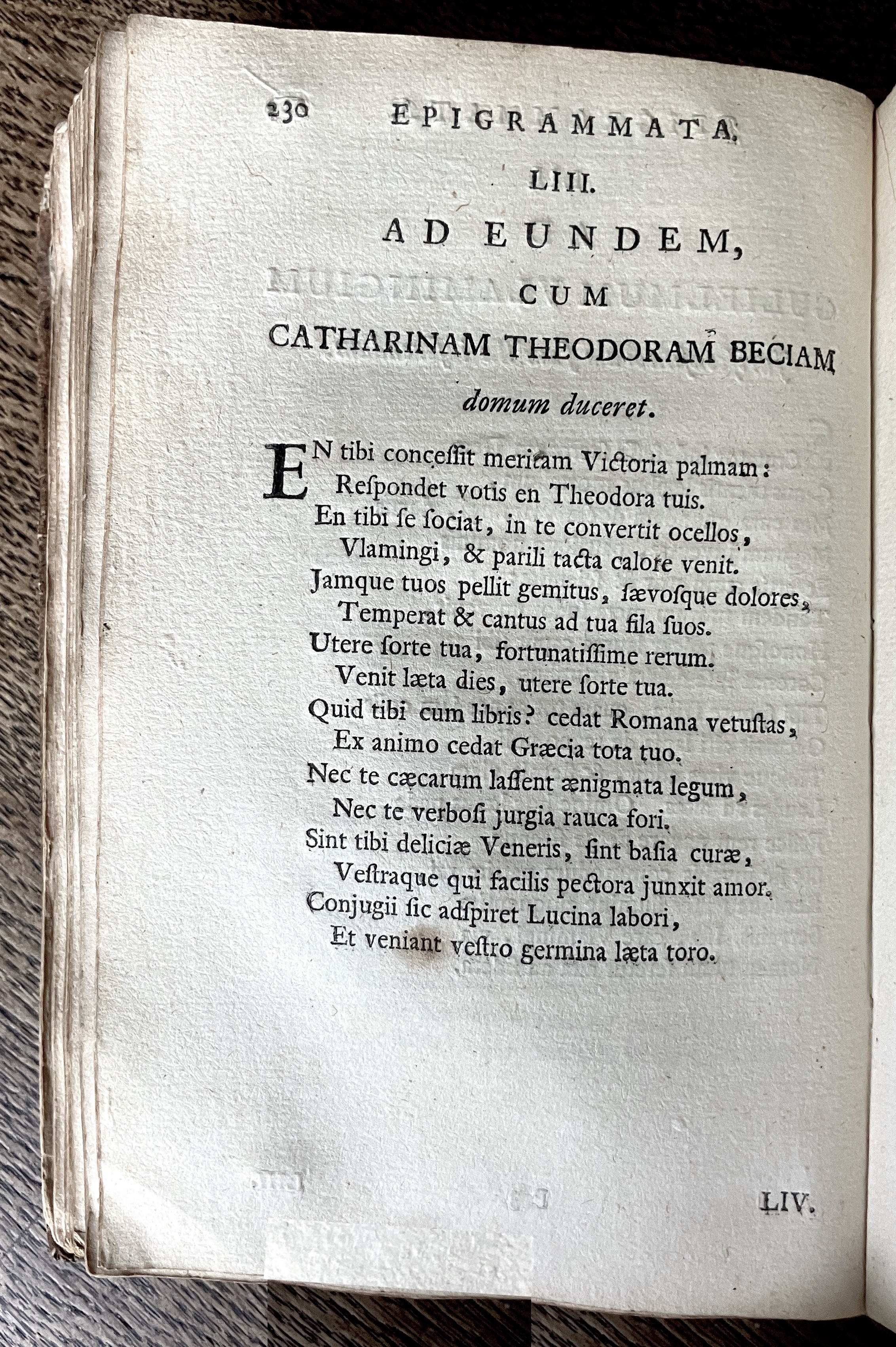 HoogstratenPoemata1728p230.jpg