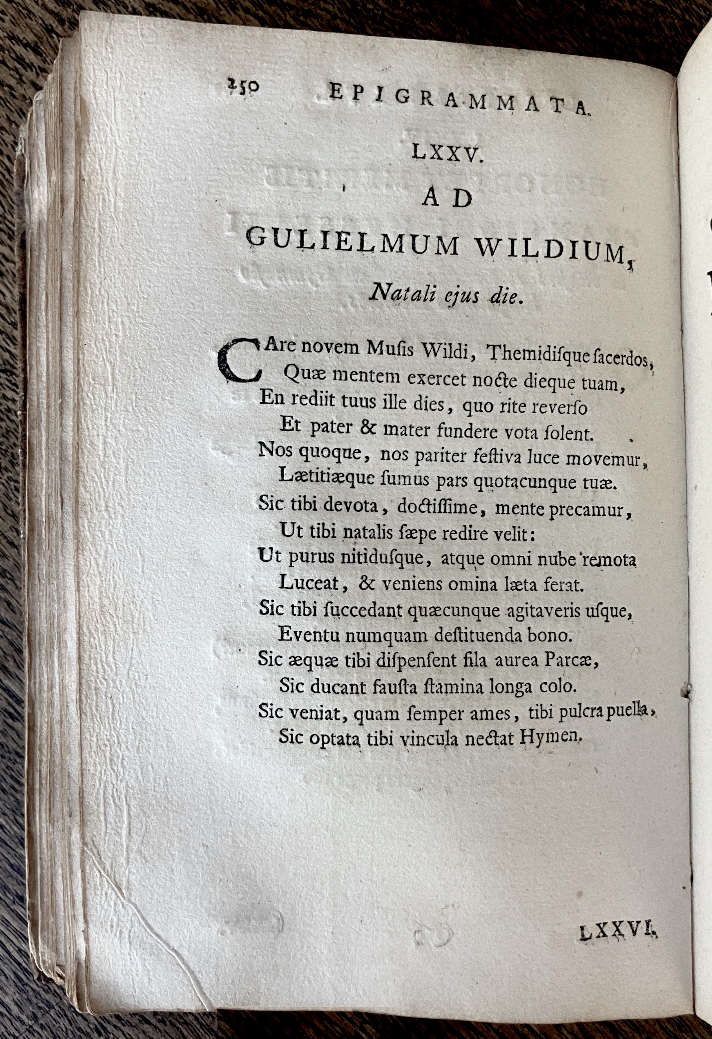 HoogstratenPoemata1728p250