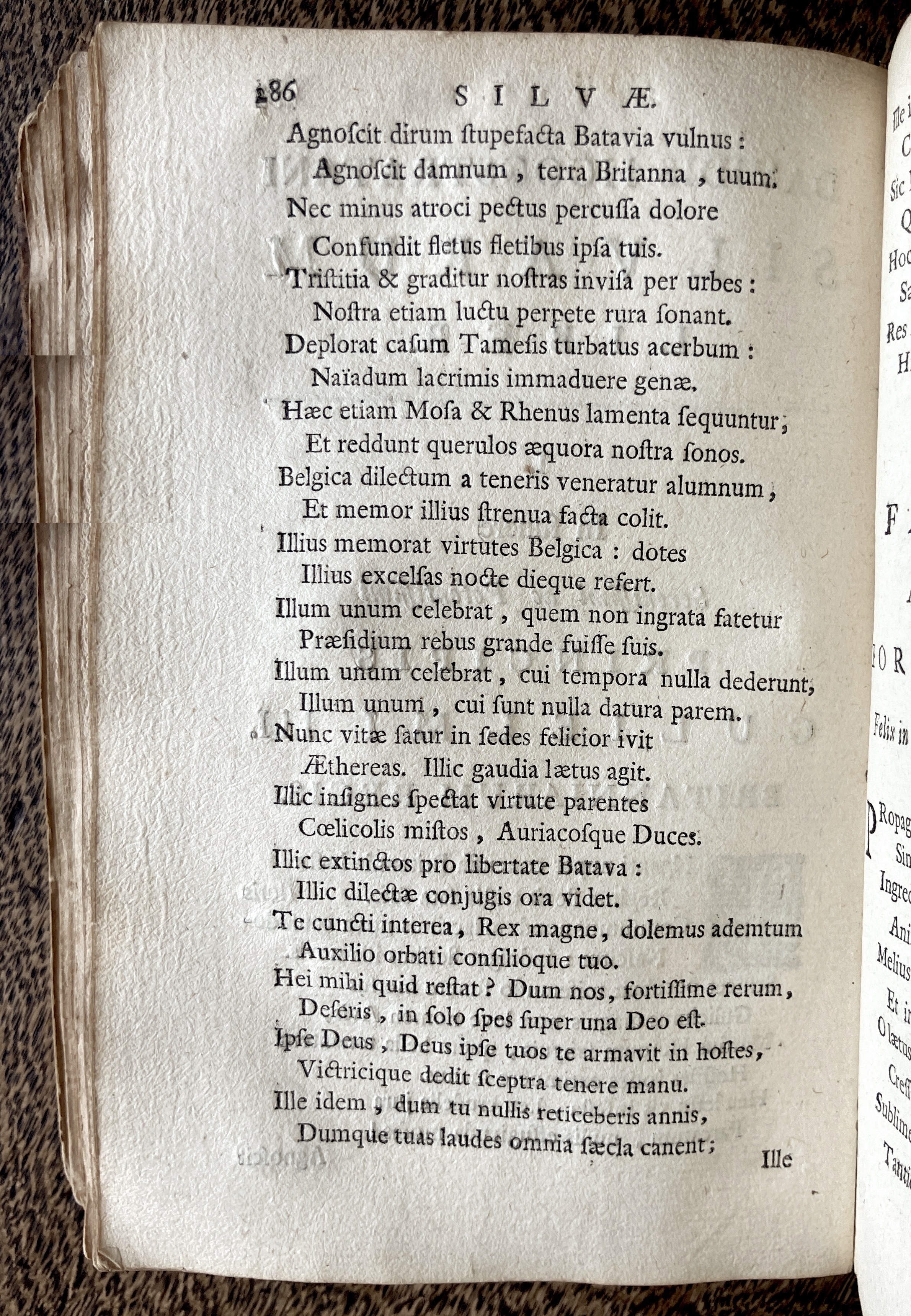 HoogstratenPoemata1728p286.jpg