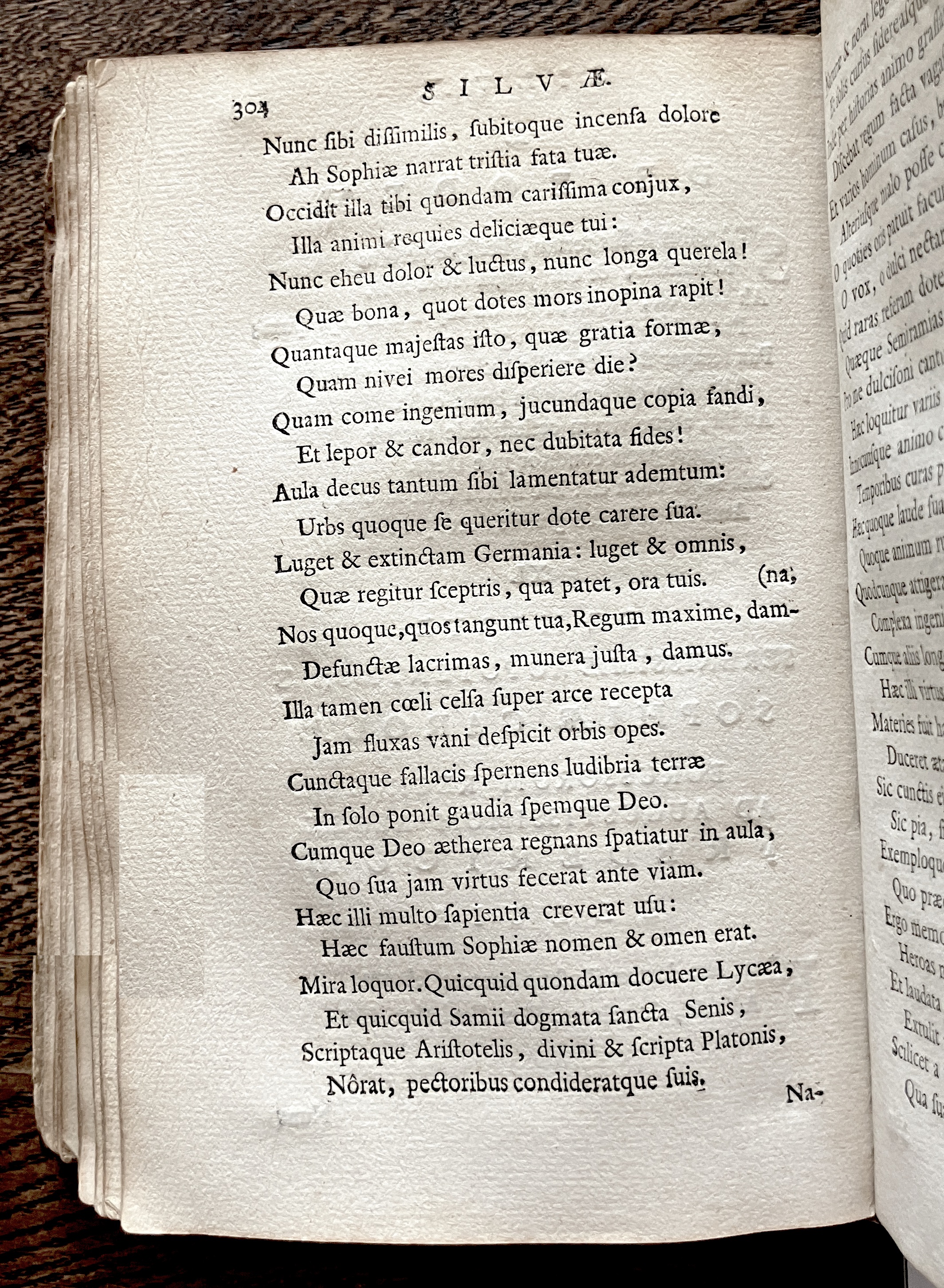 HoogstratenPoemata1728p304.jpg