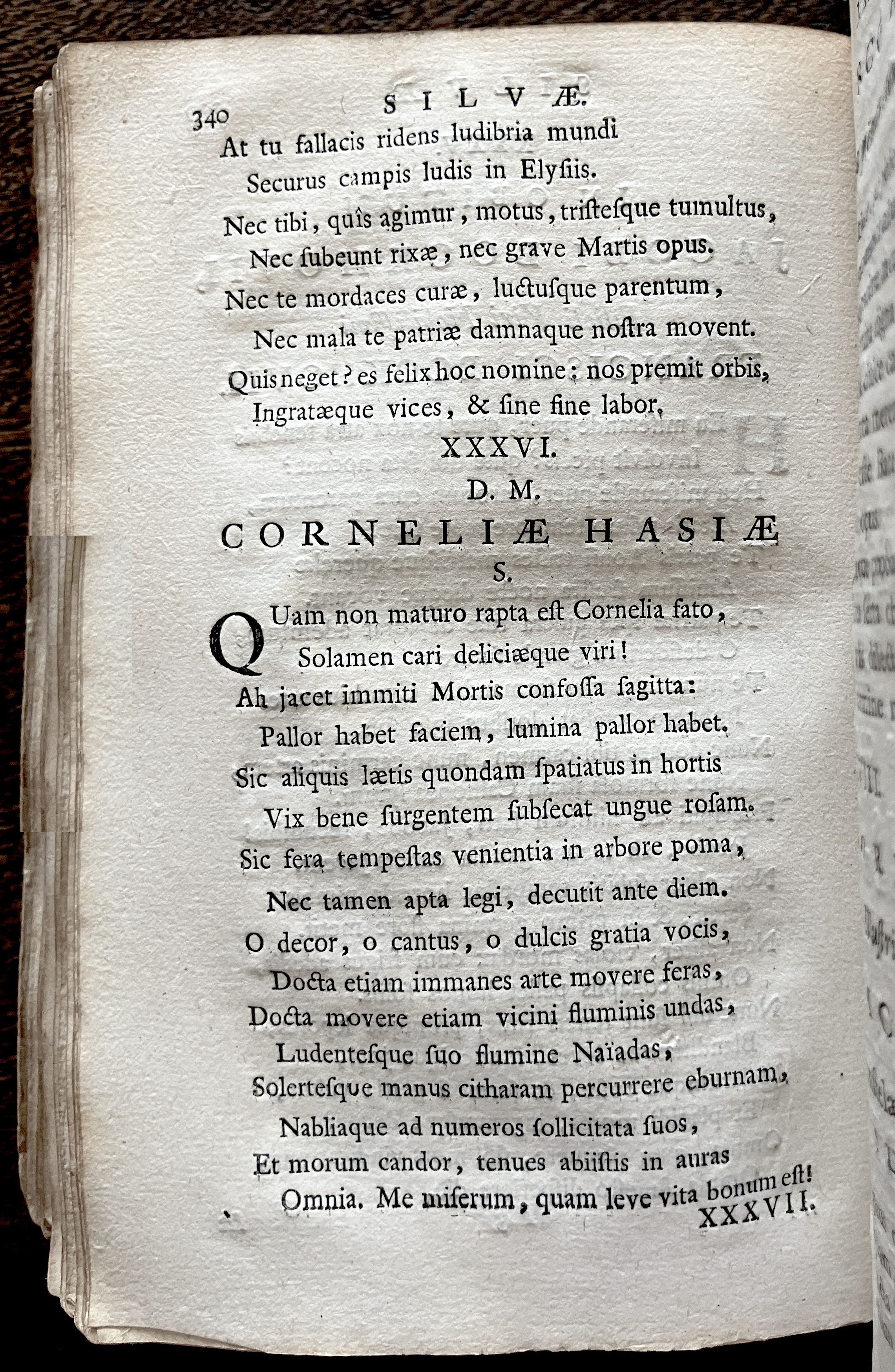 HoogstratenPoemata1728p342.jpg