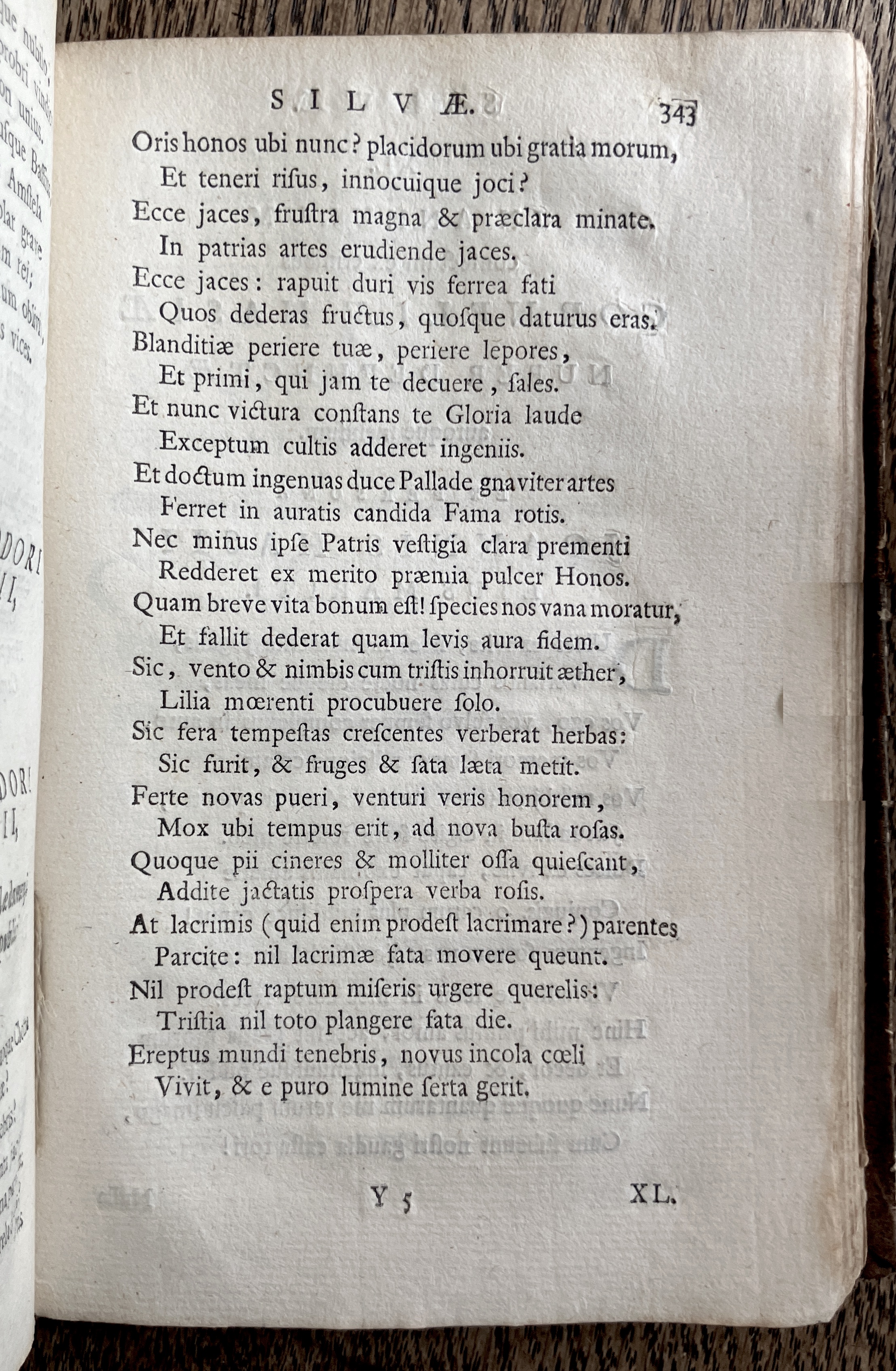 HoogstratenPoemata1728p345.jpg