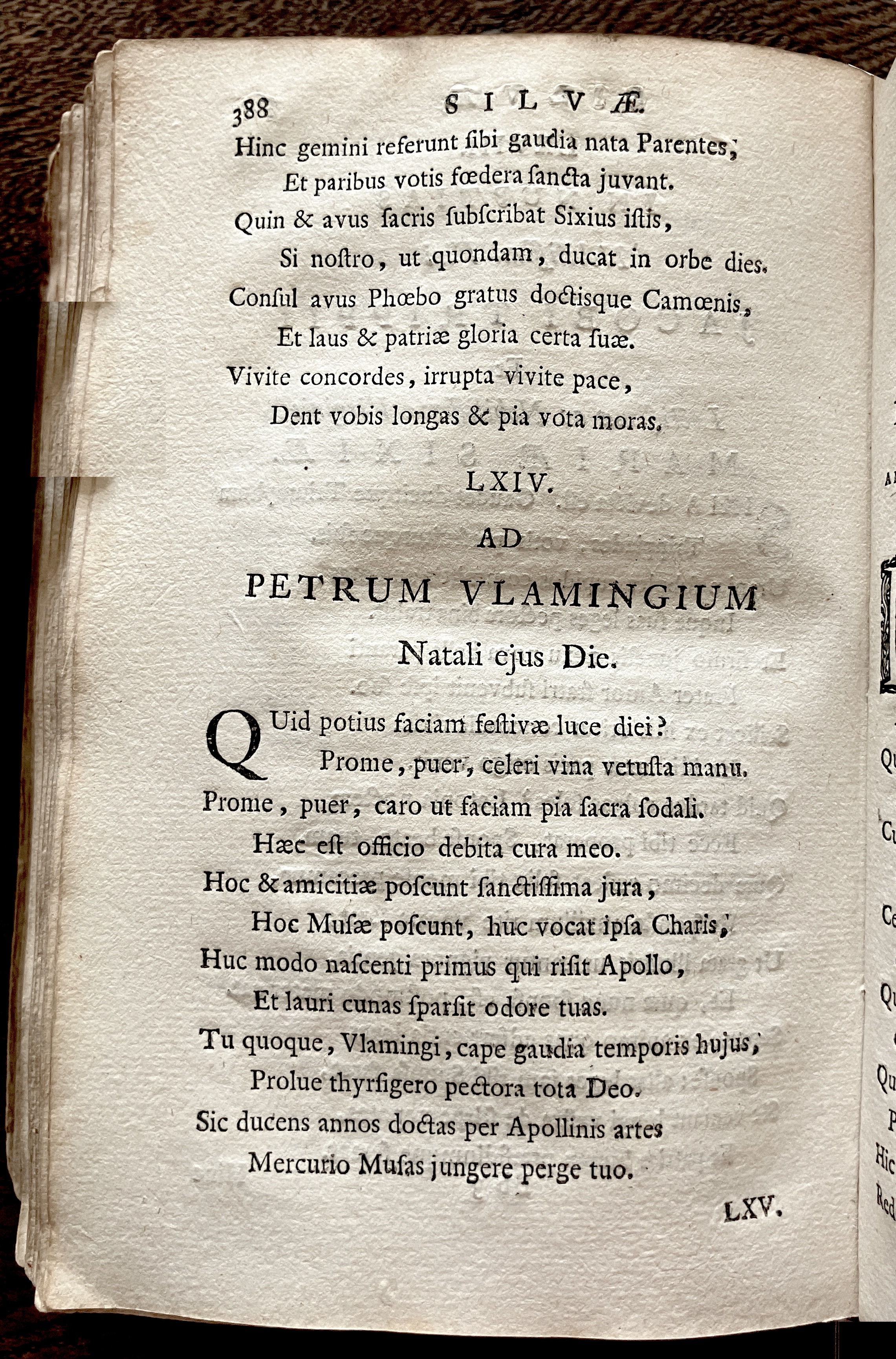 HoogstratenPoemata1728p390.jpg