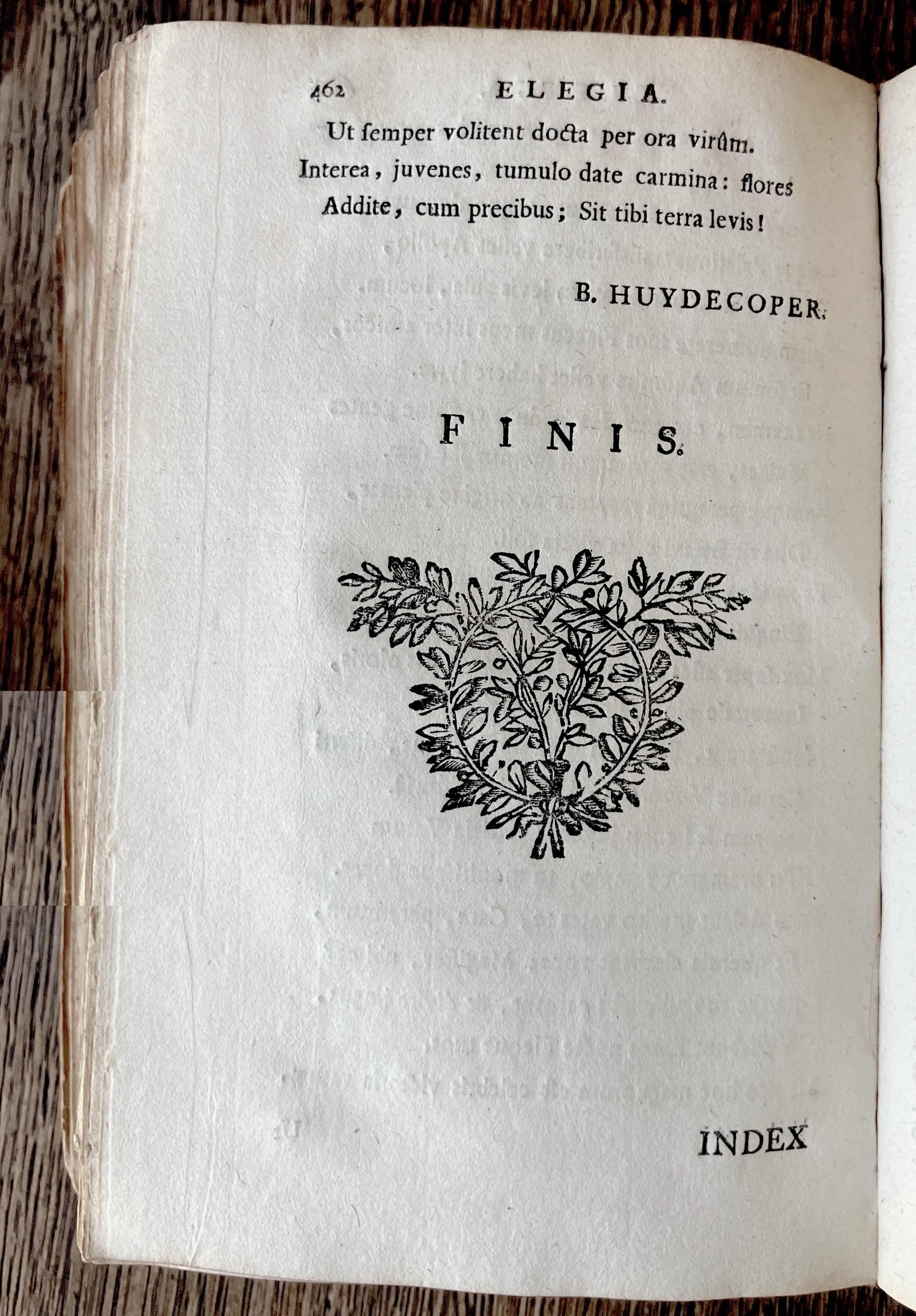 HoogstratenPoemata1728p464.jpg