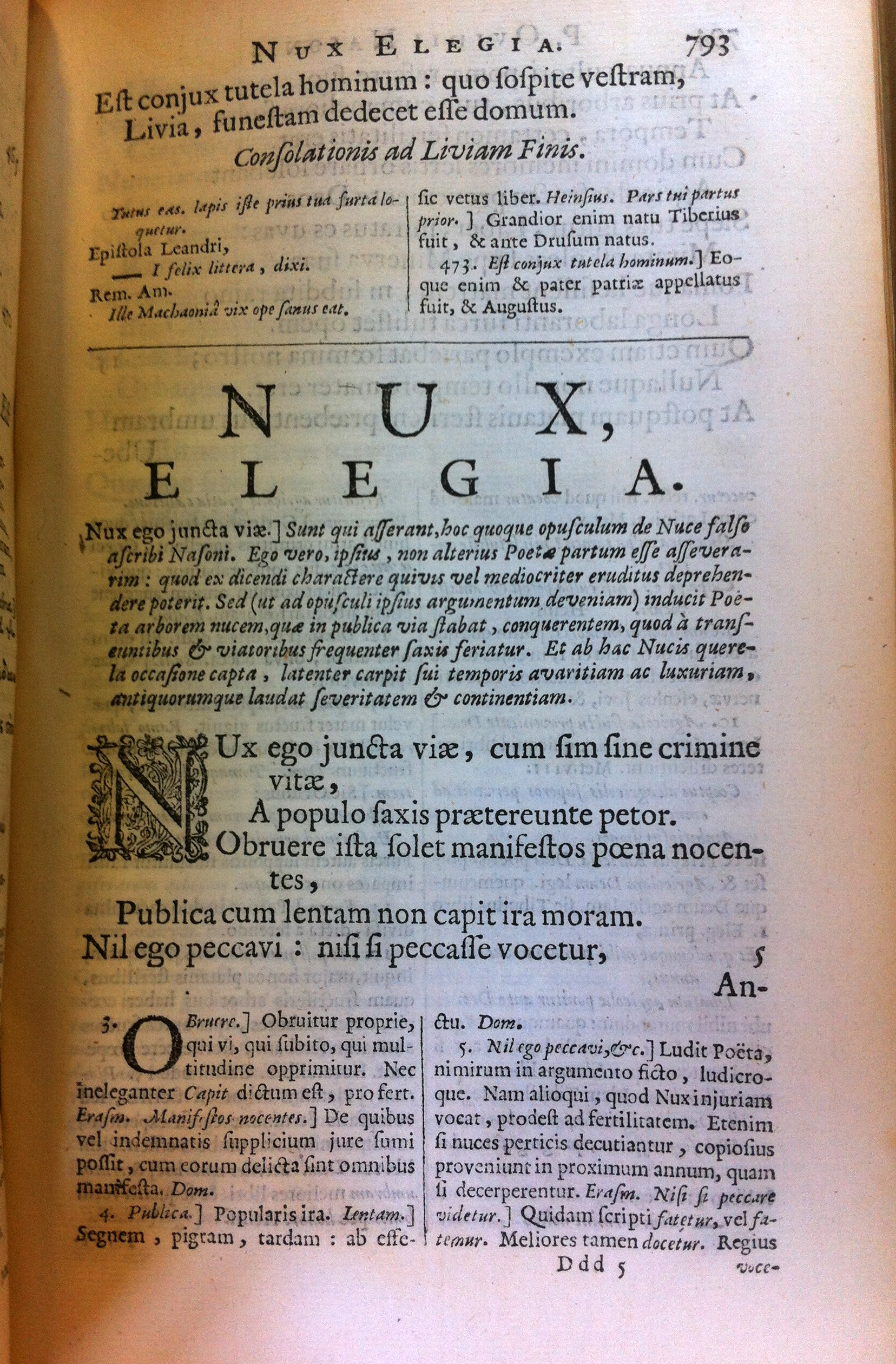 ovidius1670nux03.jpg