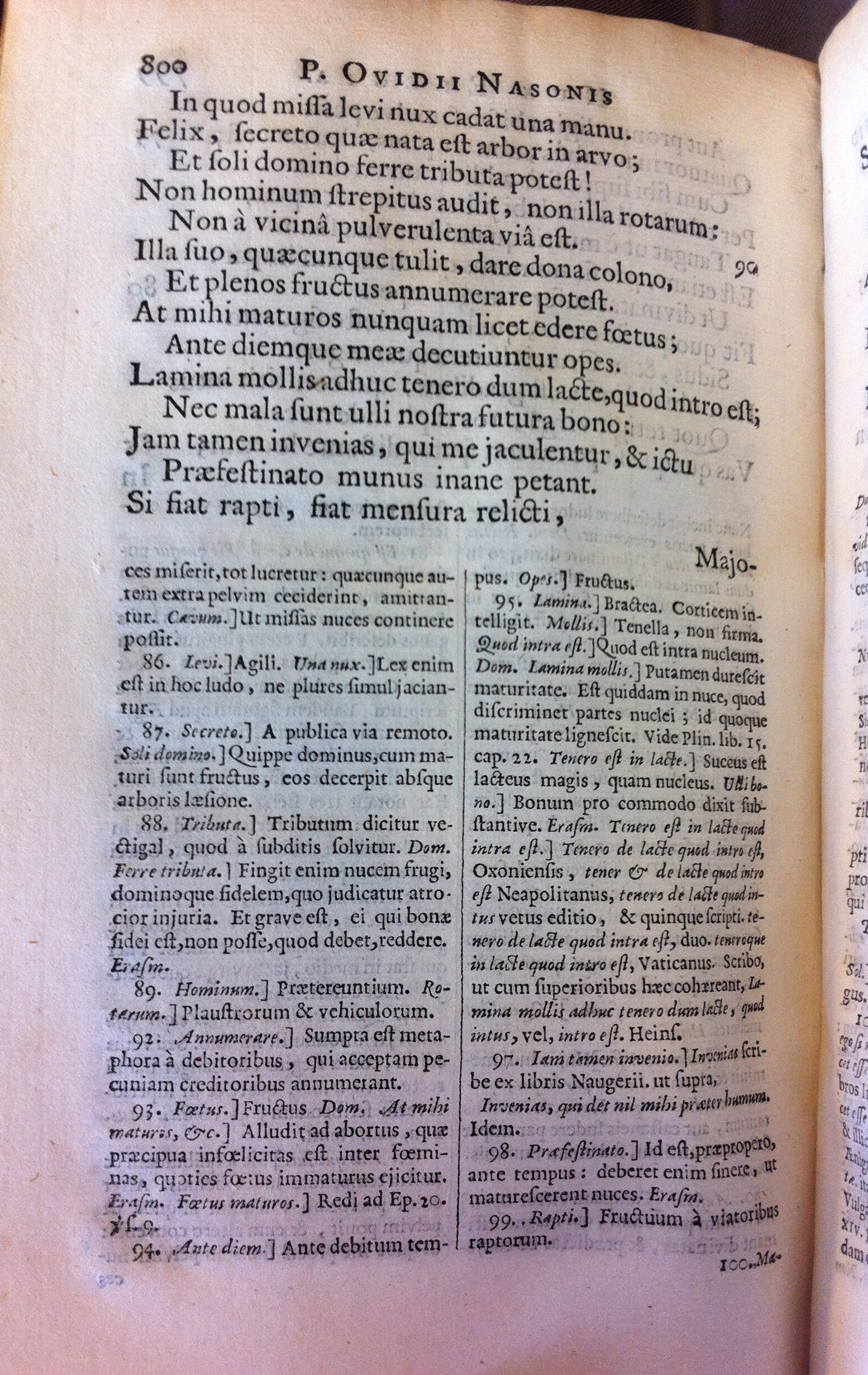 ovidius1670nux10.jpg